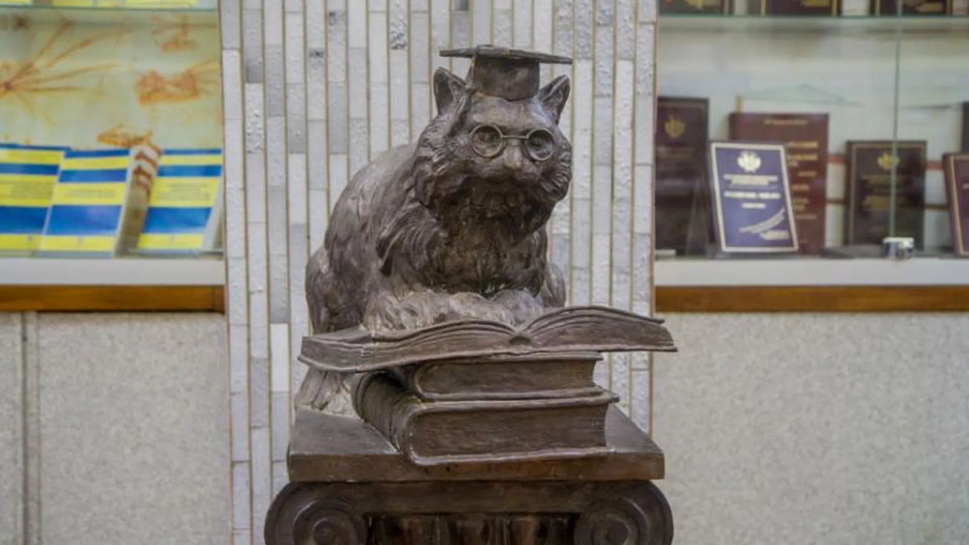 «Ученый кот» будет жить в библиотеке РУДН