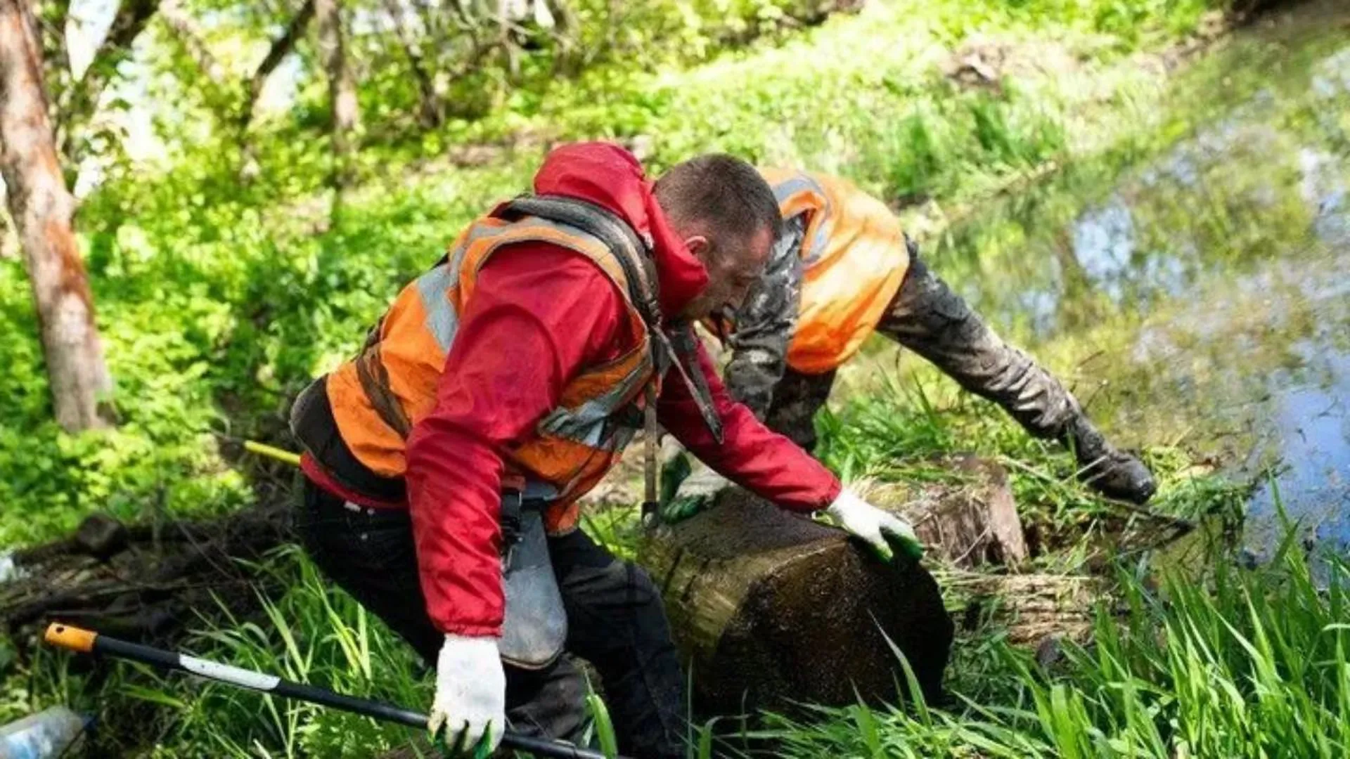 Очистку четырнадцати прудов провели в Дмитрове в рамках муниципальной программы