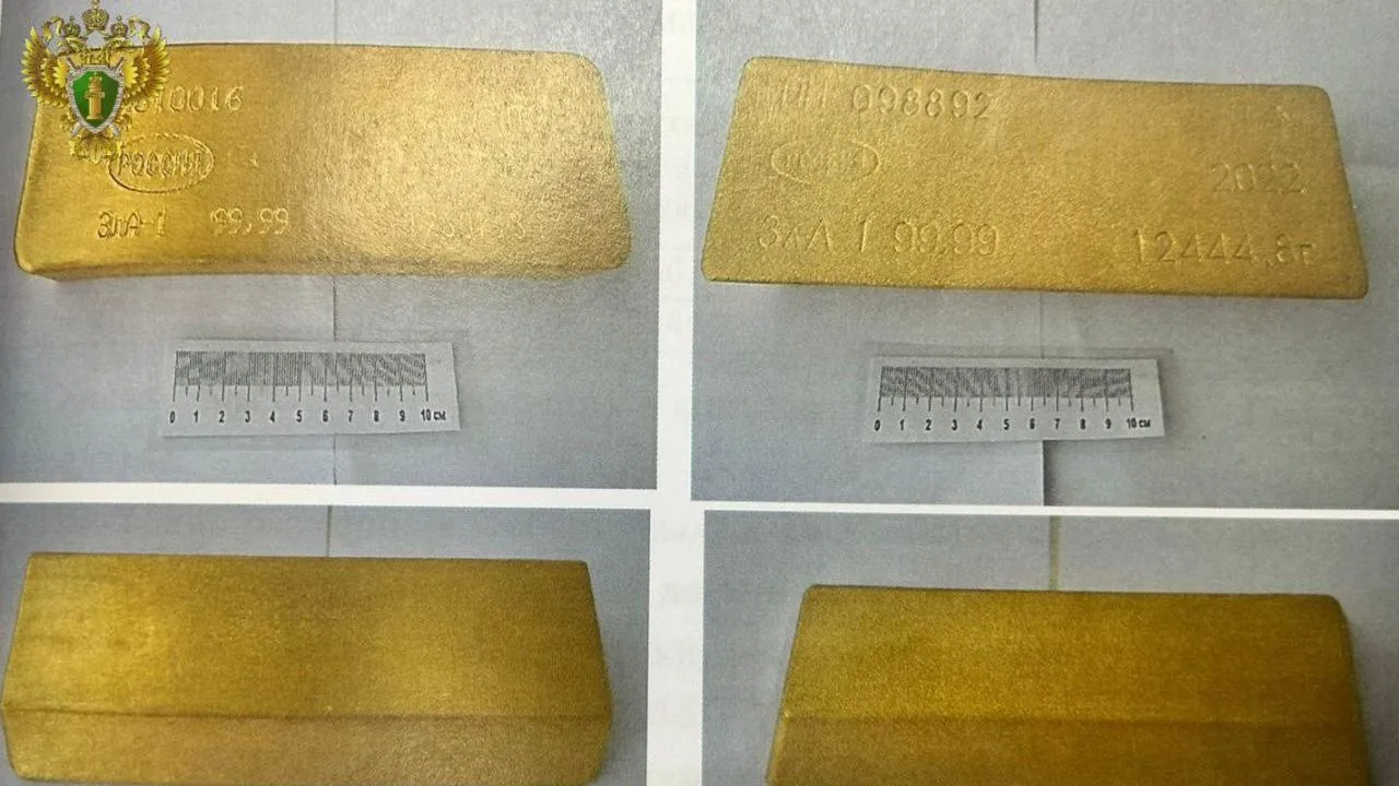 В Домодедово вынесли приговор двоим мужчинам за контрабанду 24 килограммов золота