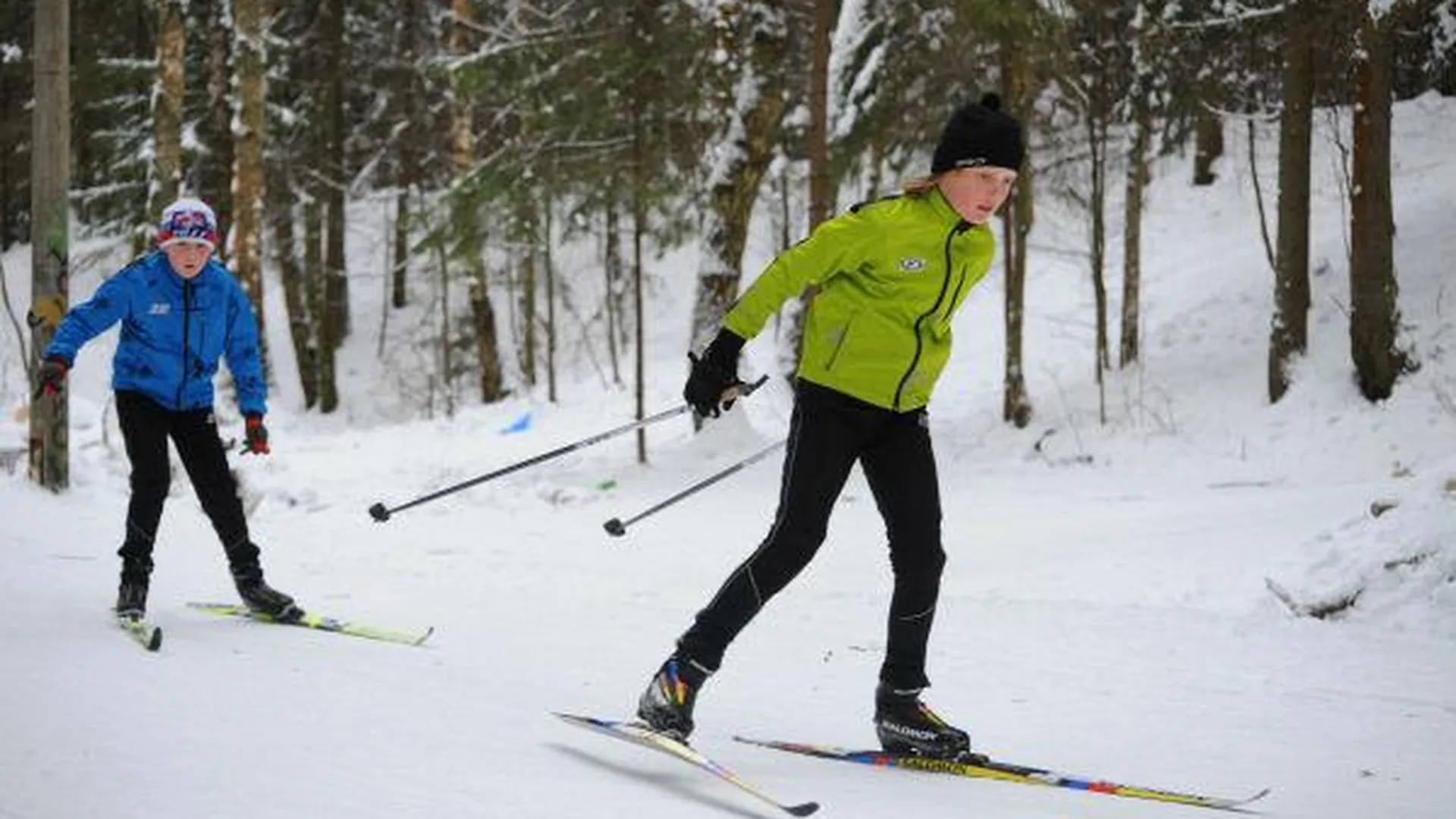 К концу года в Сергиевом Посаде откроют лыжную трассу