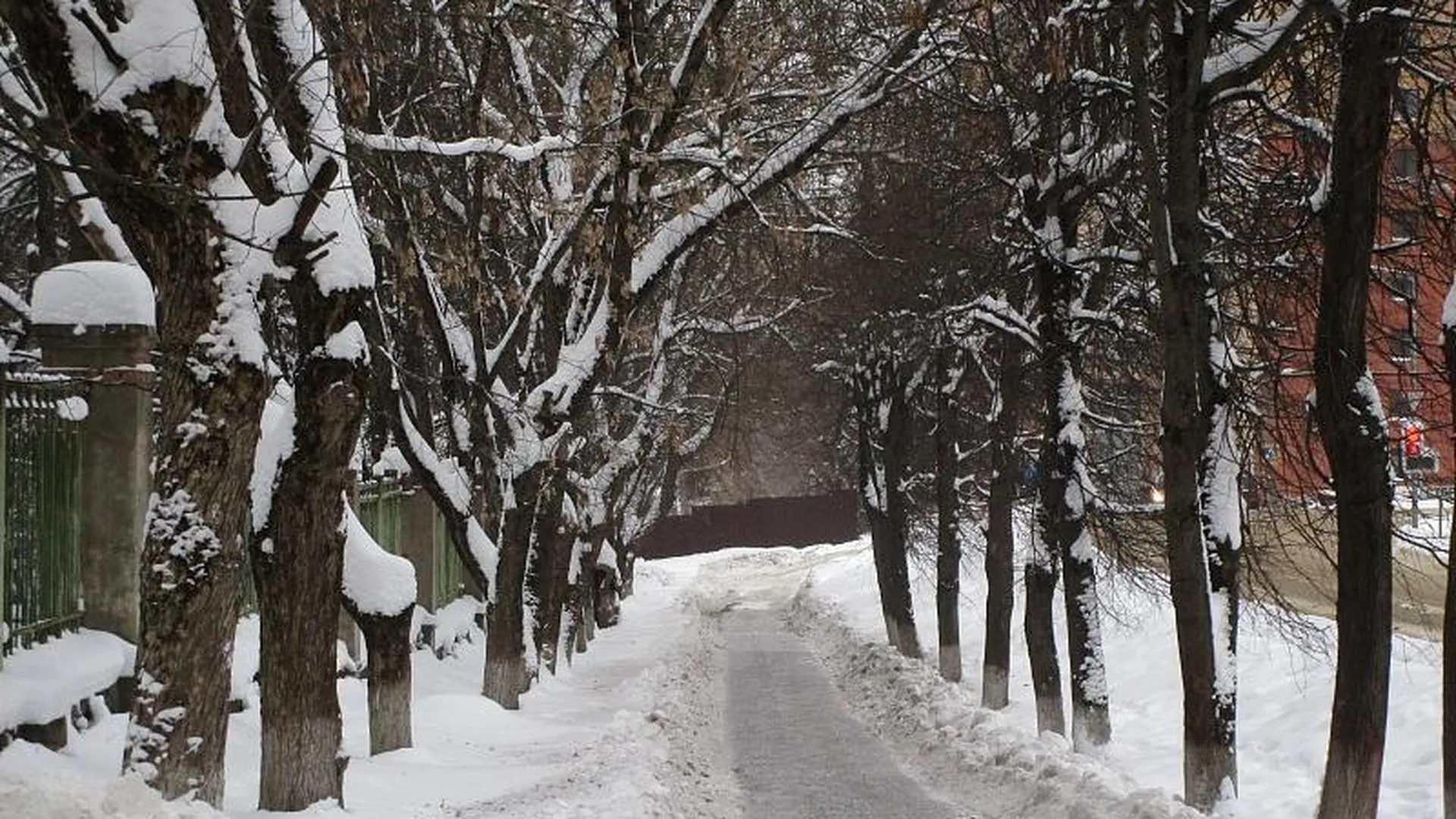 Более 20 нарушений снежной уборки нашли в Чехове