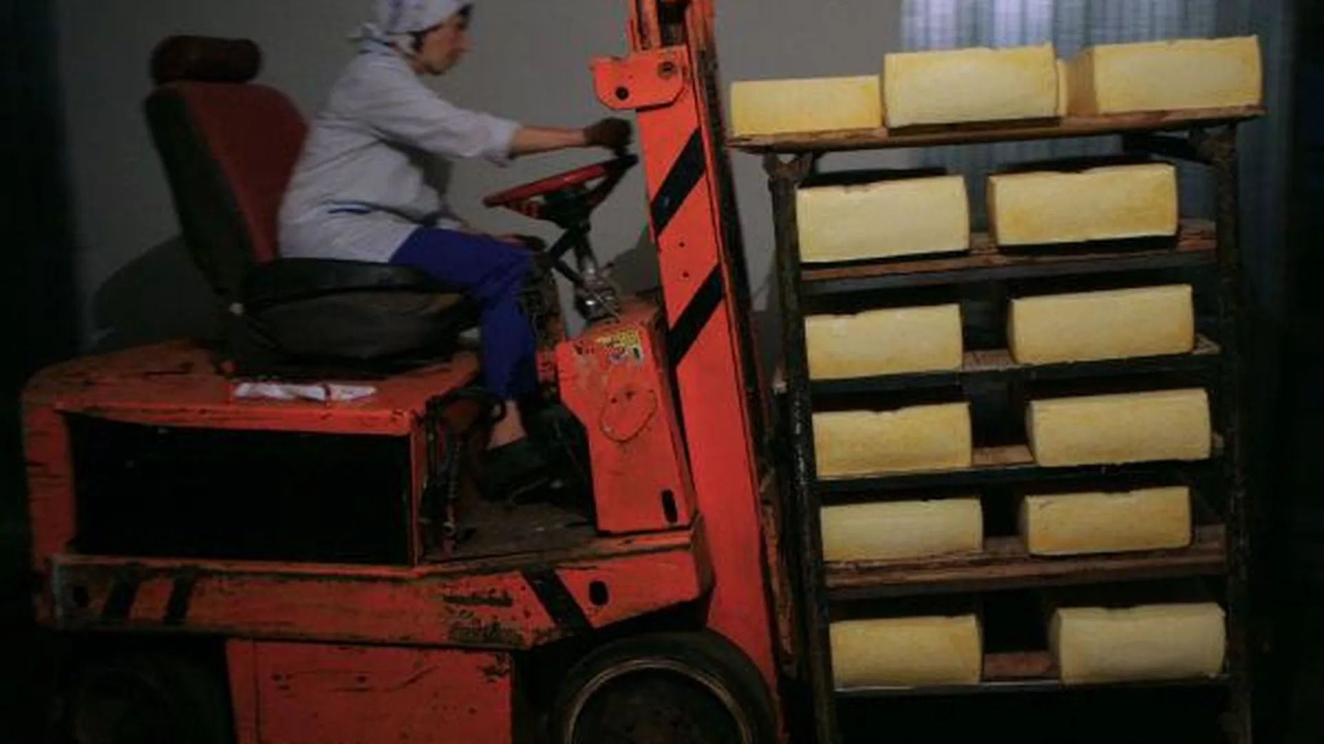 Более 150 тонн контрафактного сыра обнаружили в Щелкове