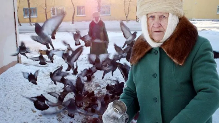 СтопХам по-клински: старушки заманивают семечками голубей к машинам