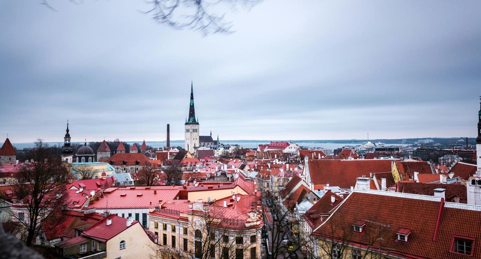 ERR: Эстония в следующем году установит 600 бункеров в приграничных районах