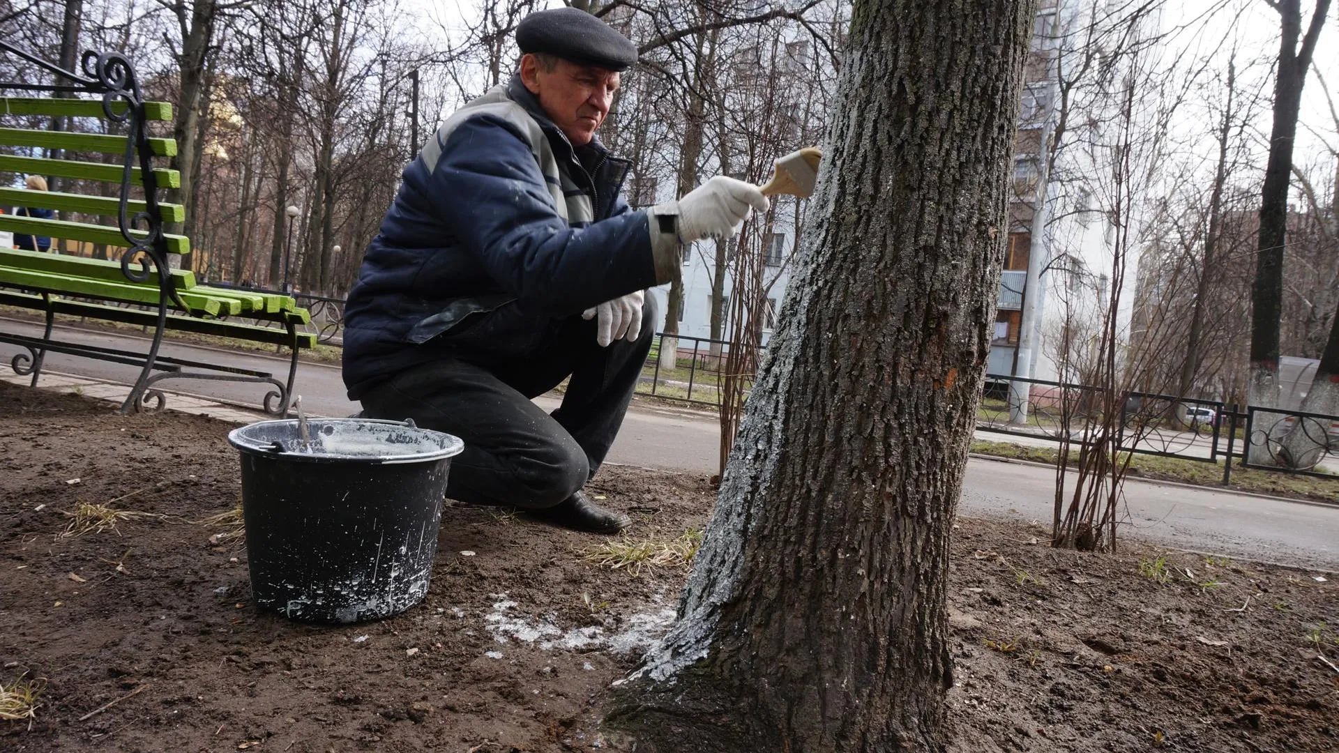 Более 10 тыс. деревьев высадили в Крыму в ходе экологической акции