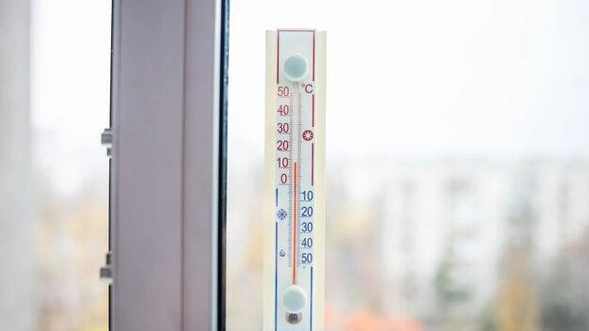 Минэкологии: зимы в Подмосковье стали более теплыми за 30 лет