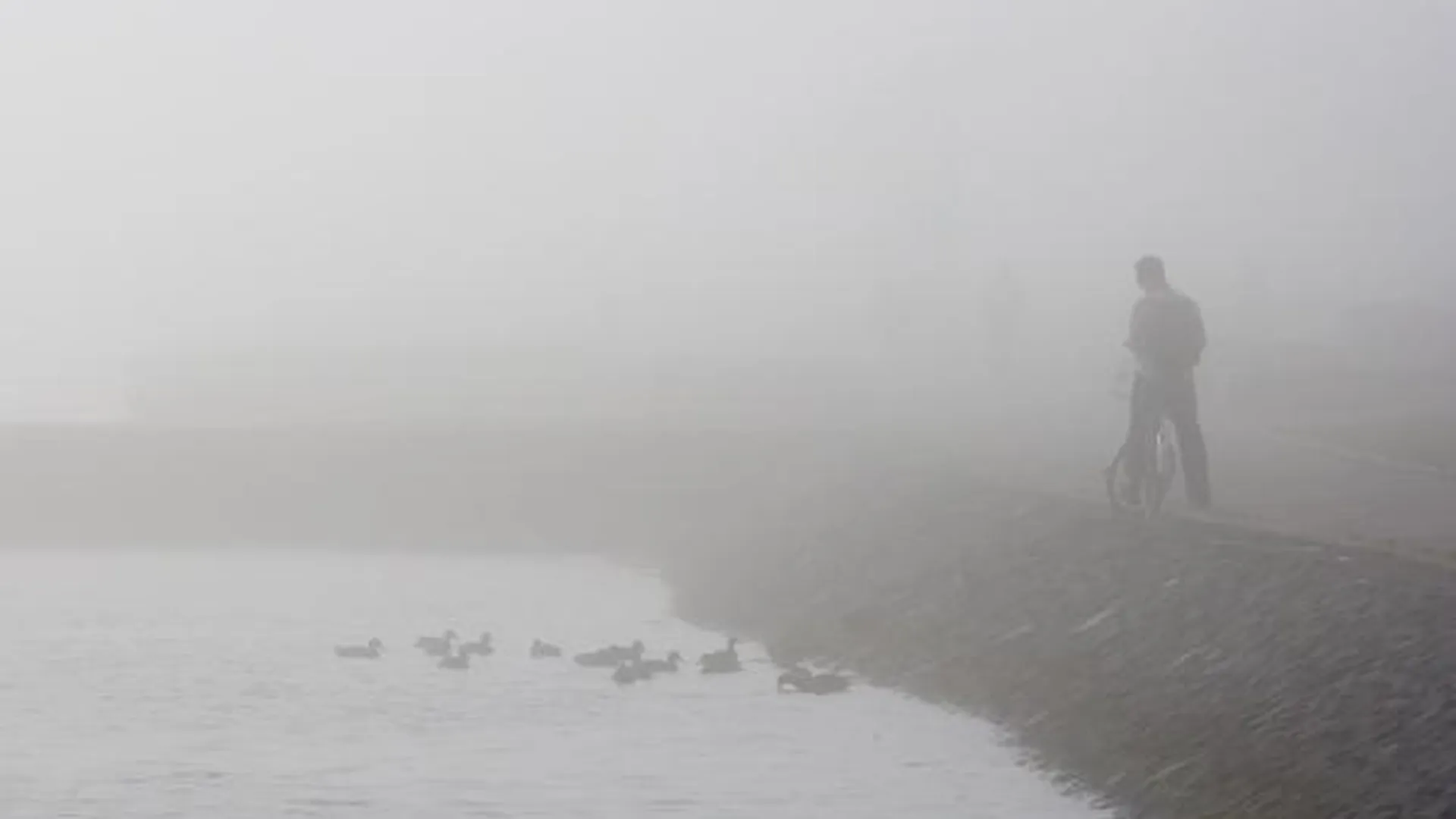 Синоптики: туман и неприятный запах на востоке Подмосковья исчезнут к вечеру