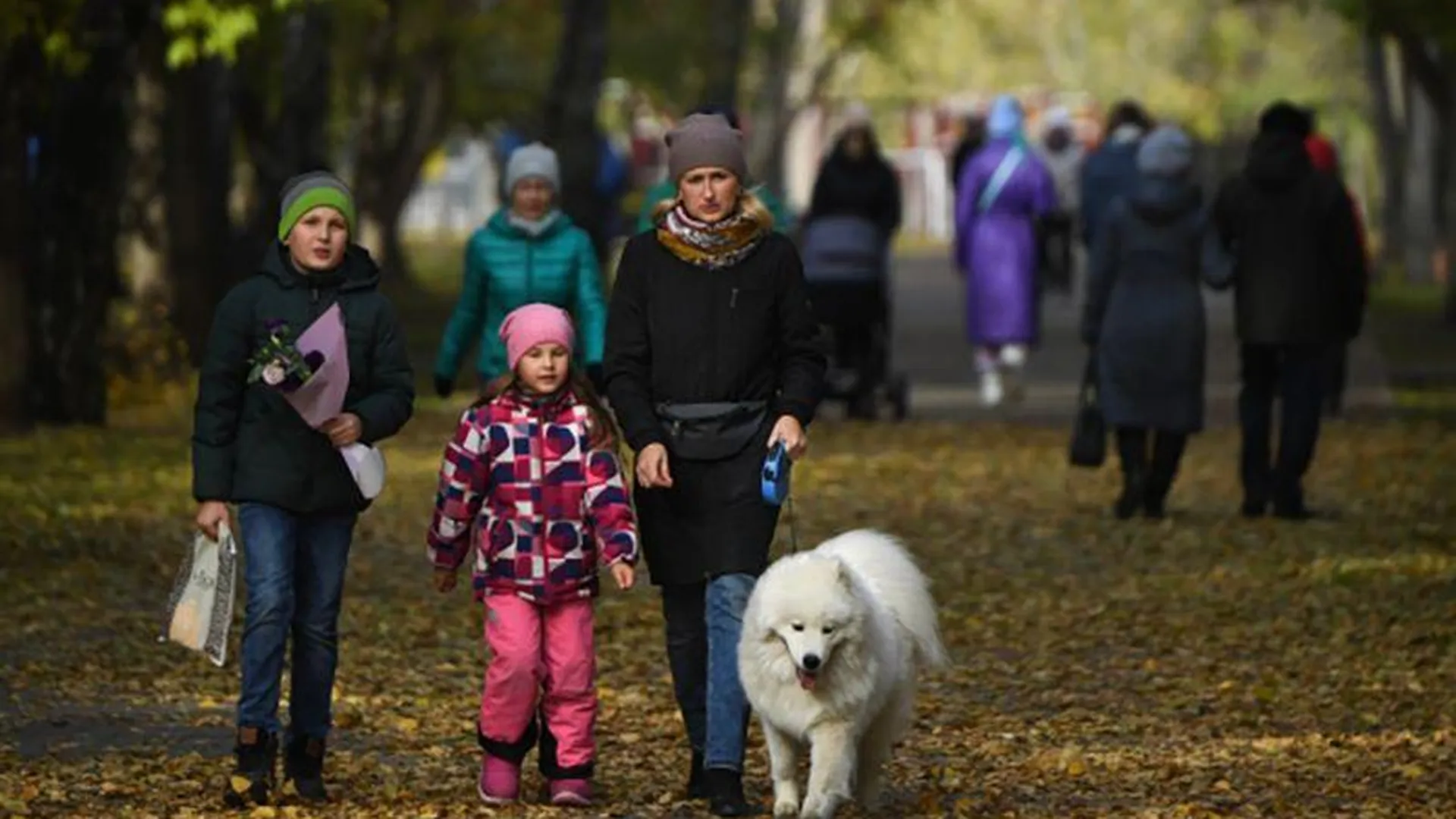 Жителей Москвы и Подмосковья ждут аномально теплые выходные