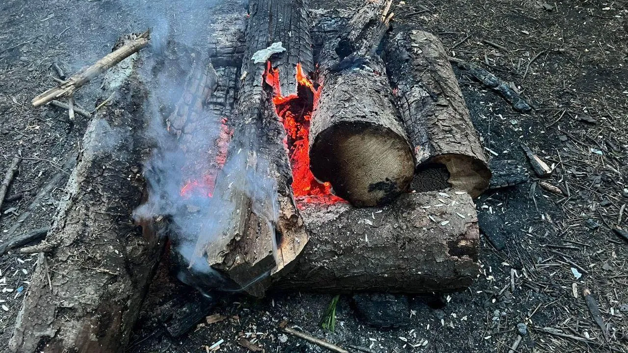 Более двух тысяч нарушений правил пожарной безопасности выявили в лесах Подмосковья с начала года