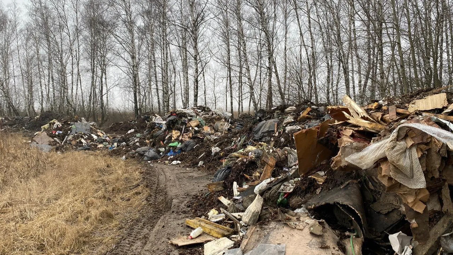 Заторы из мусора прямо на дороге появились близ поселка в Домодедовском округе. С ситуацией разбирается администрация