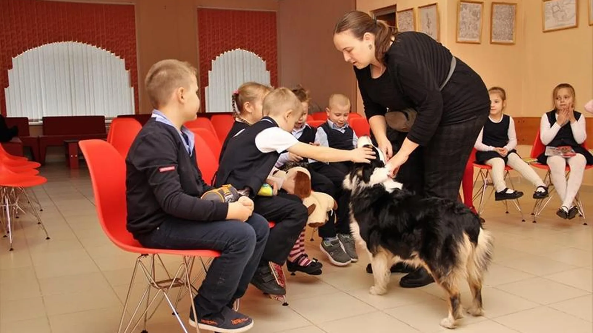 Терапевт из Долгопрудного в свободное время учит детей языку собак 