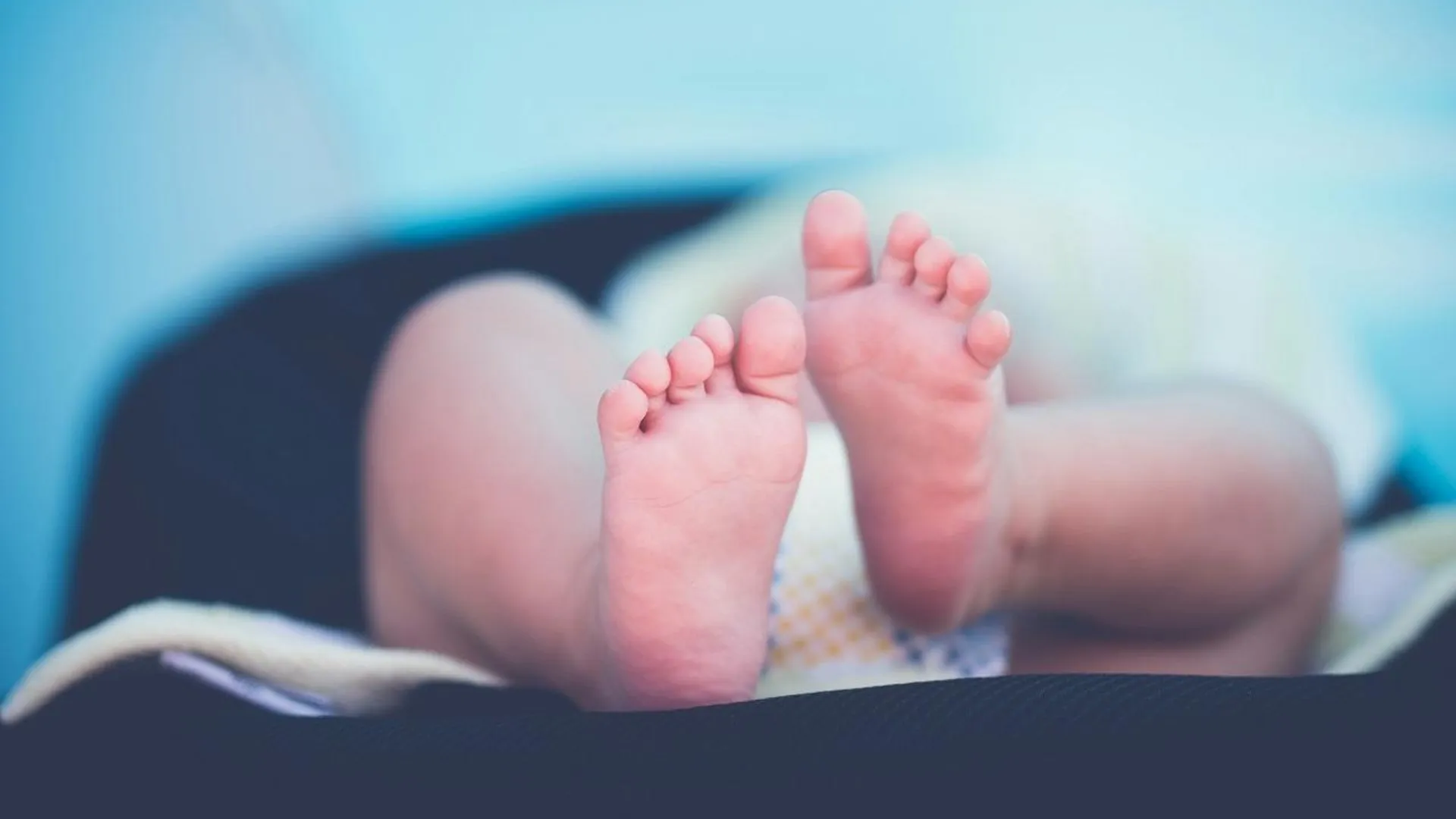 Свыше 20 тысяч подмосковных родителей получили выплаты на новорожденных