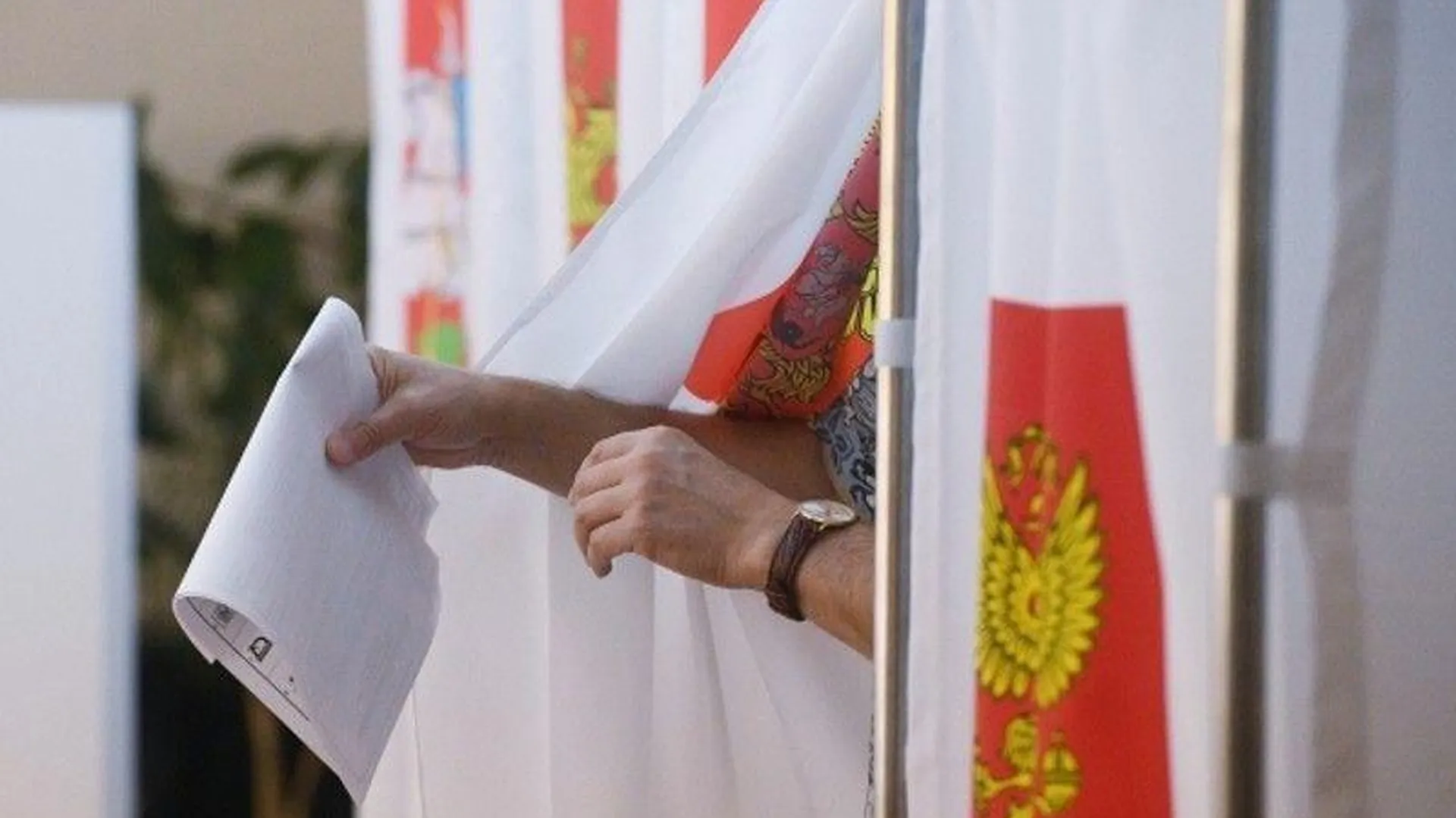 Явка на выборах в Подмосковье составила 21,38%