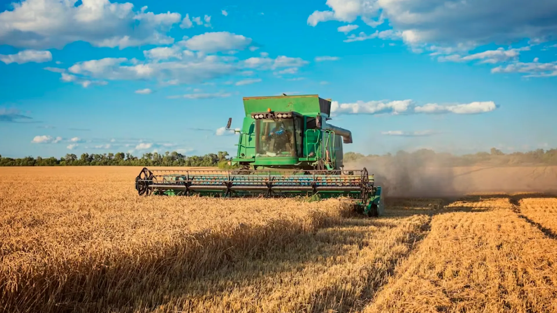 «Повысится конкурентоспособность»: выяснилось, как новый сельскохозяйственный проект поможет стране