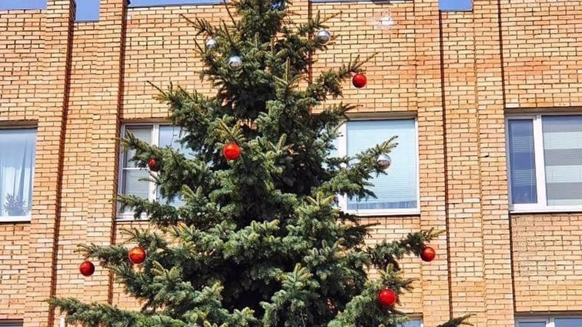 «В ожидании Нового года»: предприниматель забыл снять украшения с елки в Клину
