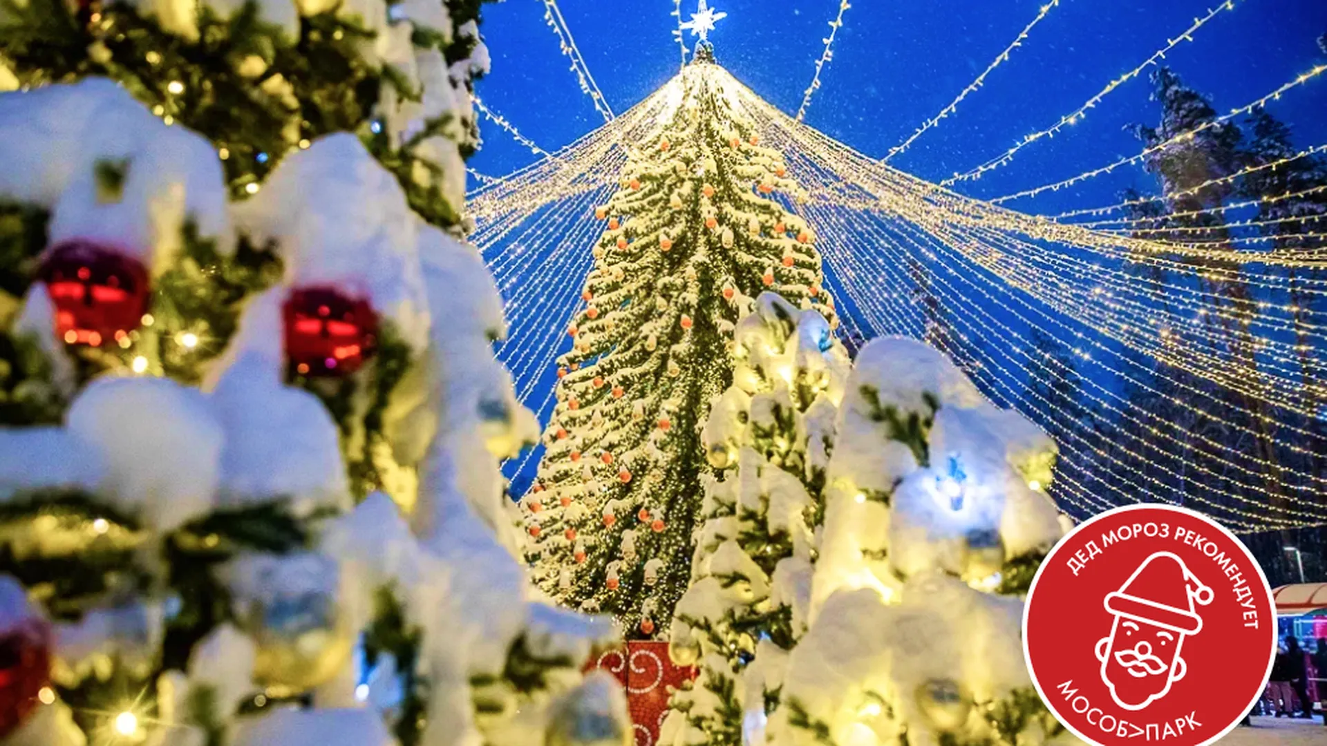 Центральный парк Реутова получил знак качества «Дед Мороз рекомендует»