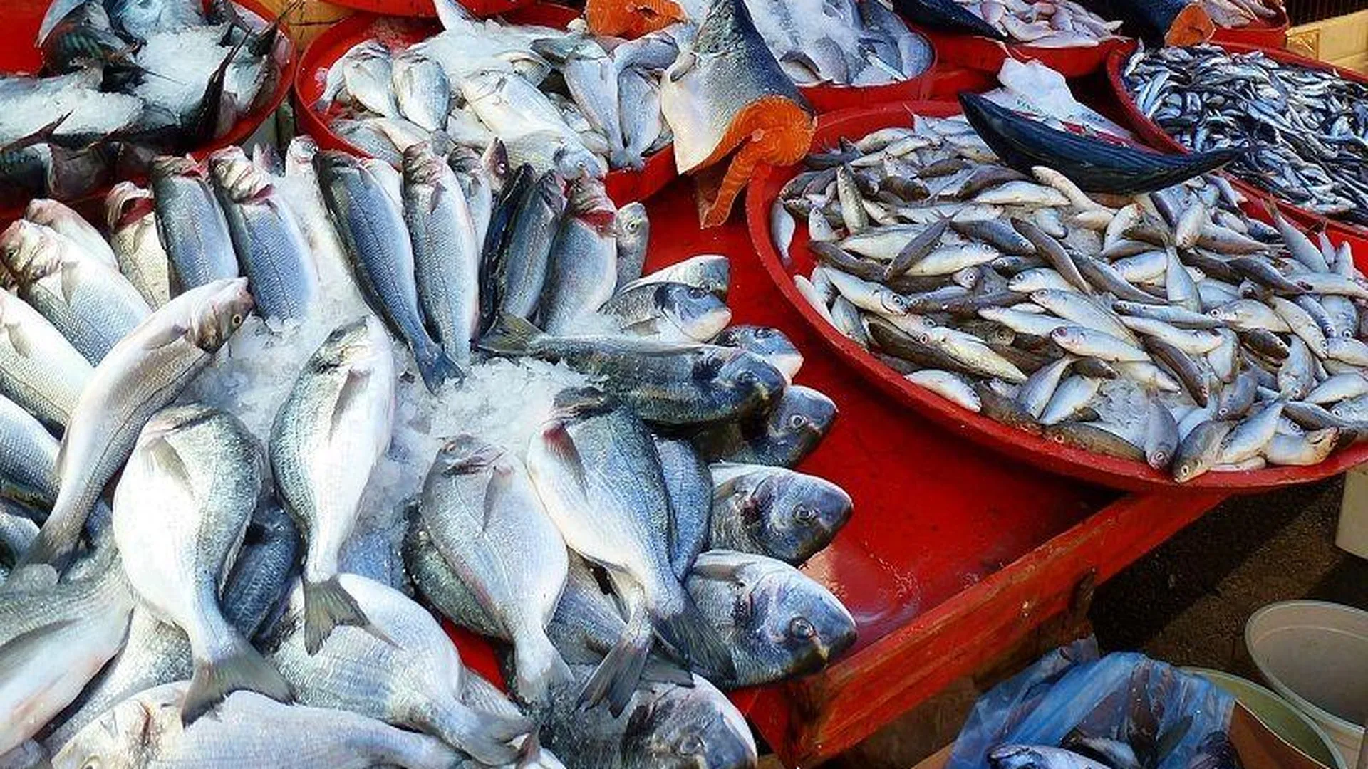 Рыбой «скорее всего, без глистов» торгуют в переходе Люберец