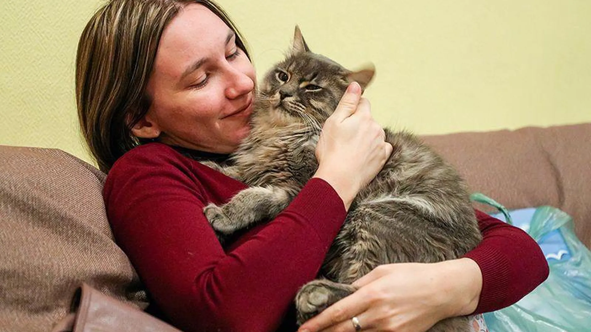 Зоопсихолог рассказала, как дрессировать кошку и отучить ее громко мяукать по ночам