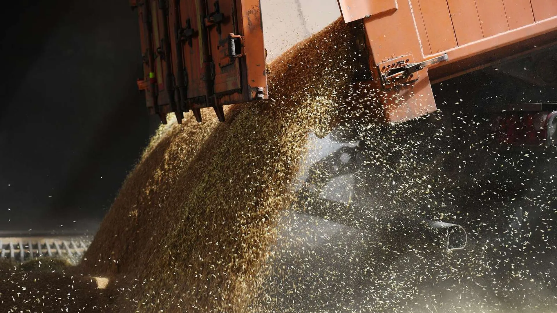 Турция заявила, что будет покупать зерно дешевле, чем остальной мир