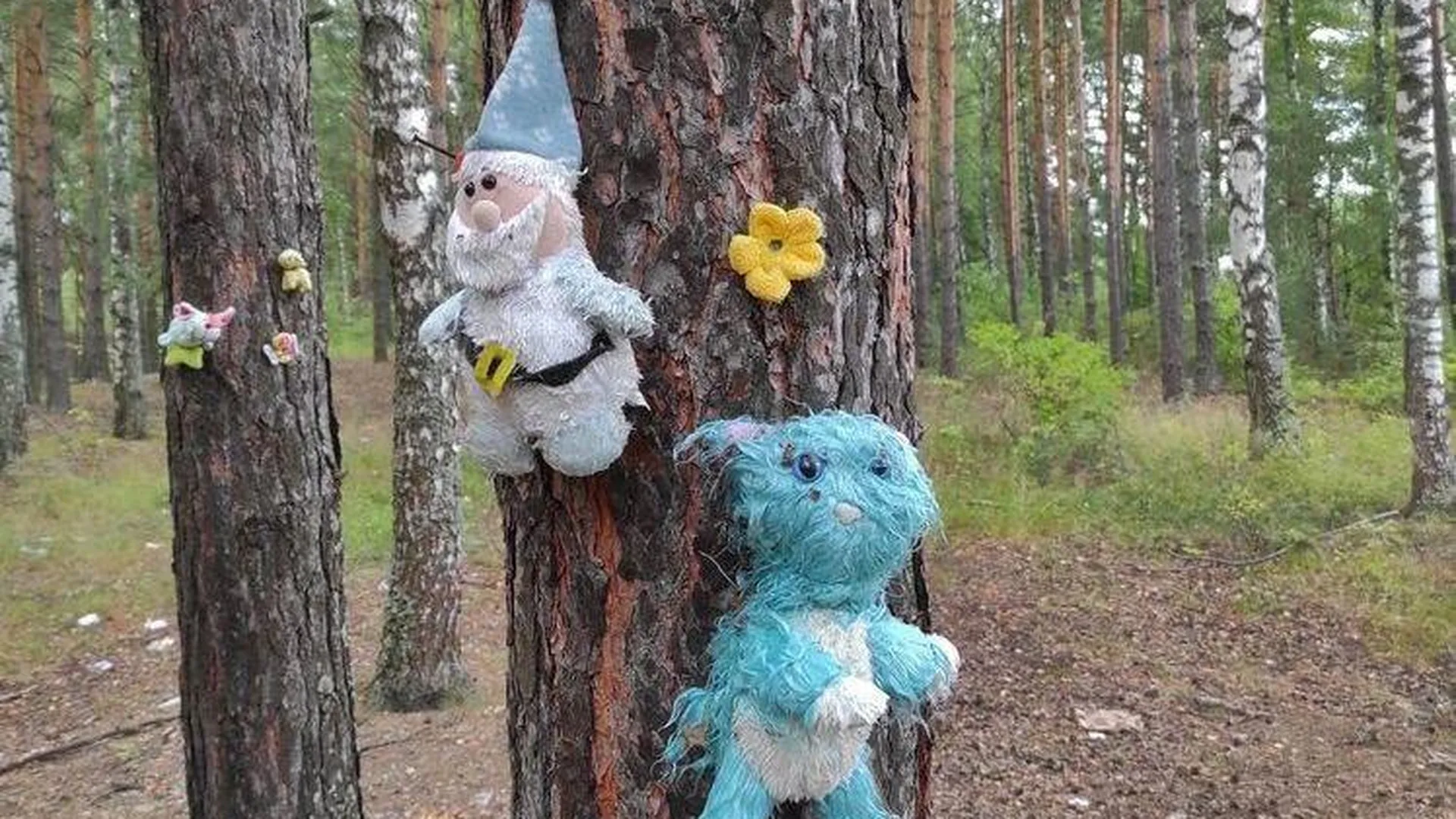 Игрушки, прибитые гвоздями к деревьям в лесу, испугали жителя Орехово-Зуево