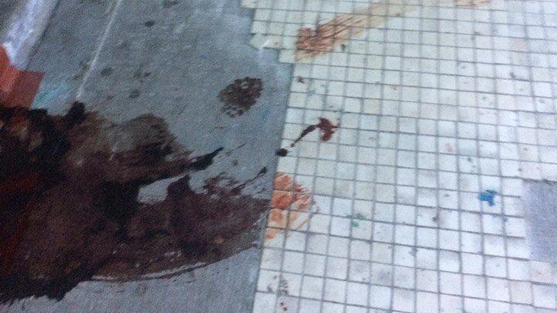Кровь убитой в подъезде многодетной матери до сих пор не убрали в Балашихе