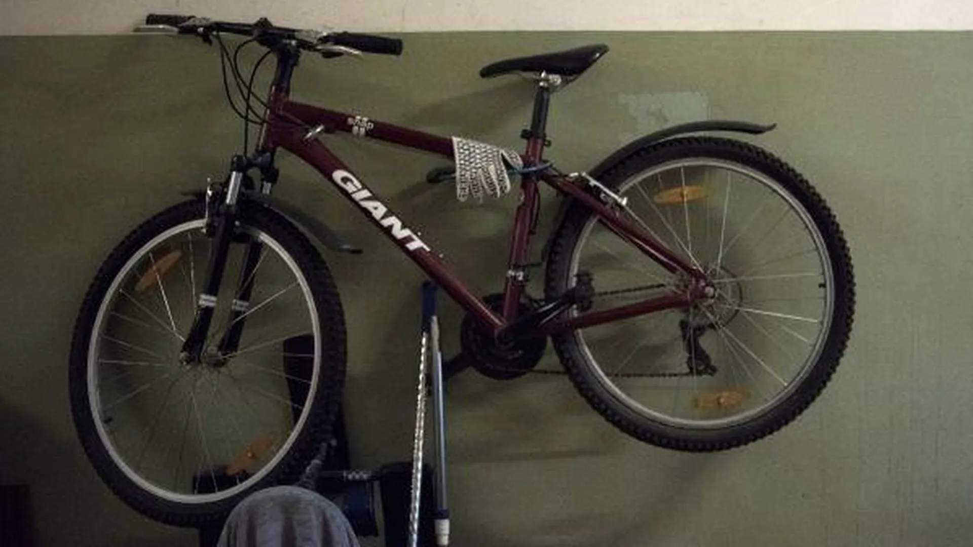 Полицейские задержали похитителя велосипеда в Наро-Фоминском округе