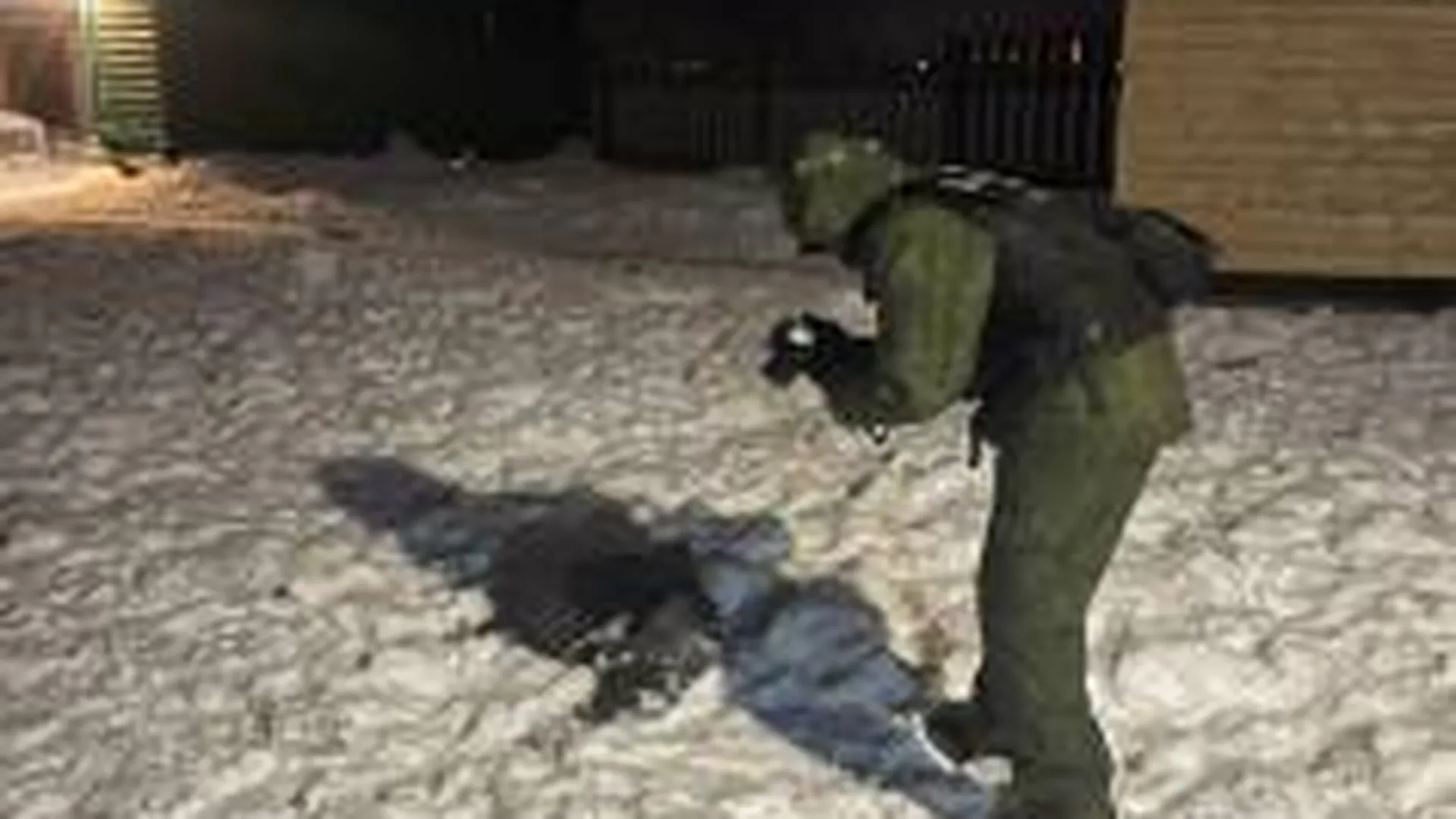 Шестилетний мальчик погиб в Тверской области после нападения собак