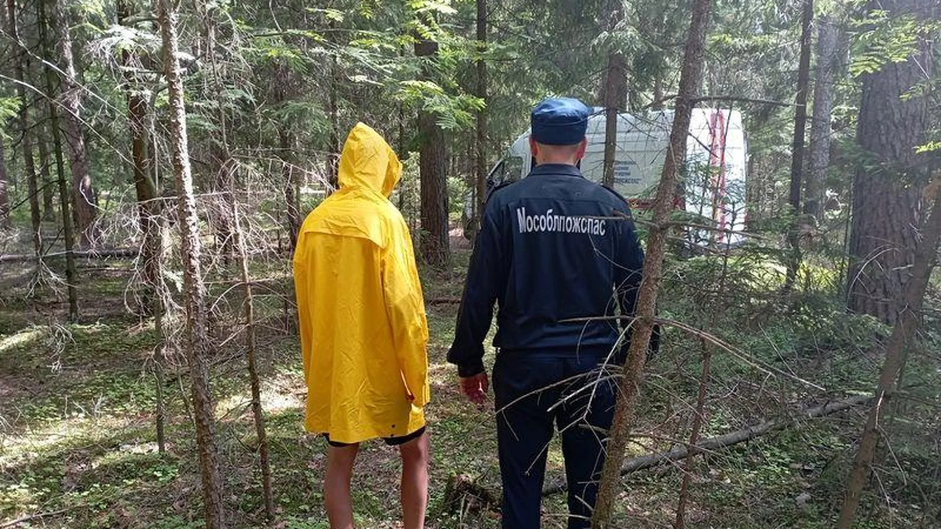 Работники «Мособлпожспас» рассказали, как ориентироваться в лесу без компаса