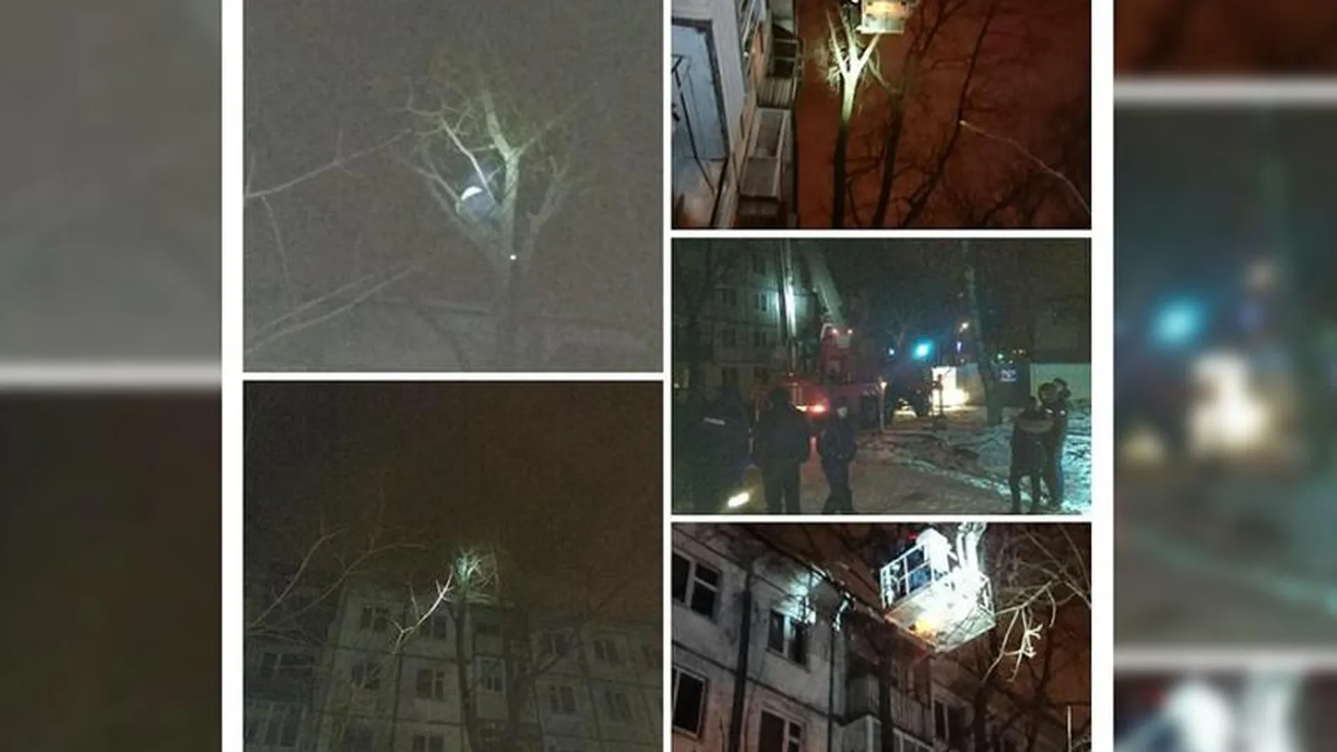 Выжил чудом: мужчина упал с крыши дома в Пушкино, но застрял на дереве