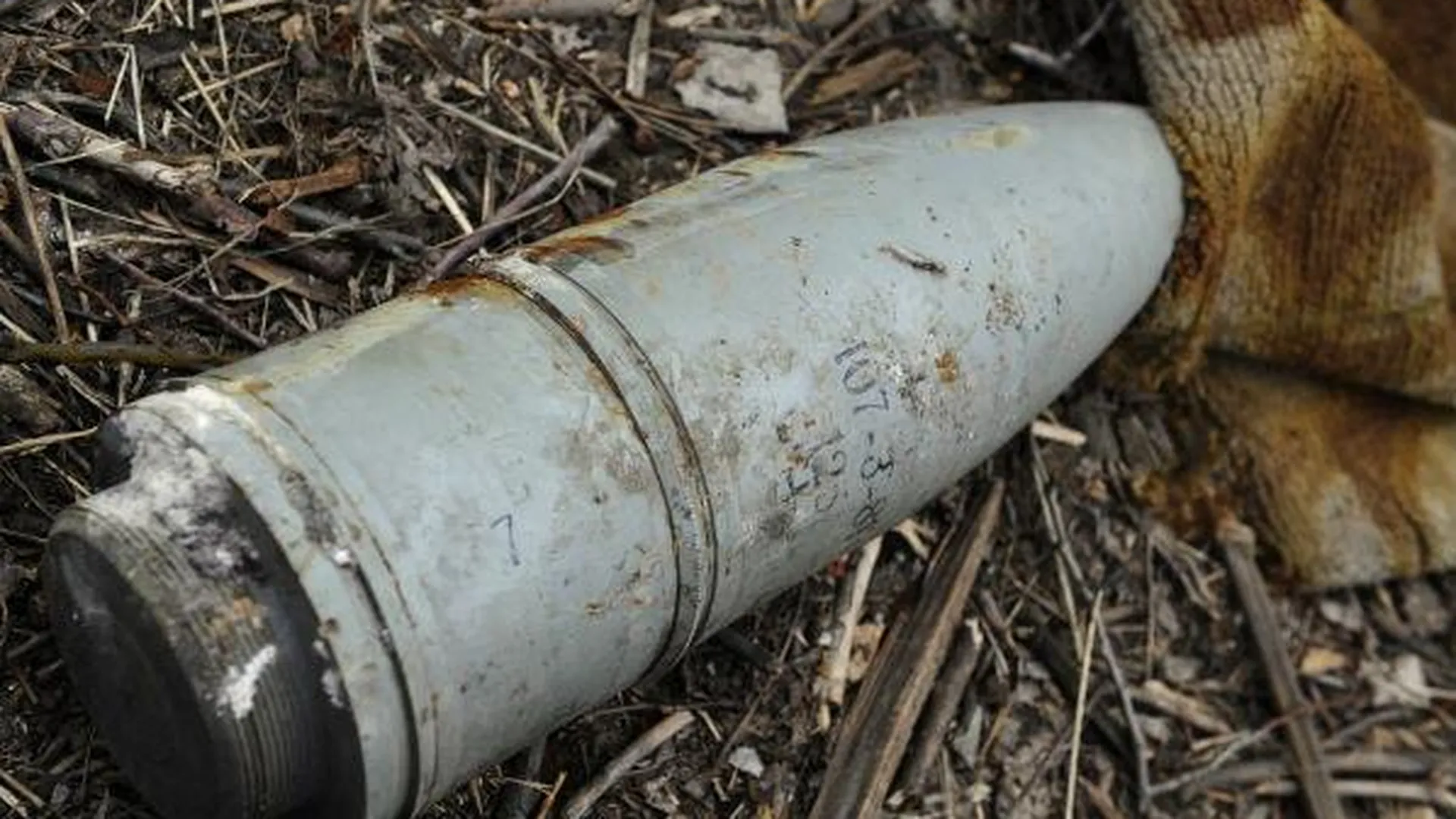 Две бомбы времен Великой Отечественной войны нашли в Ногинском районе