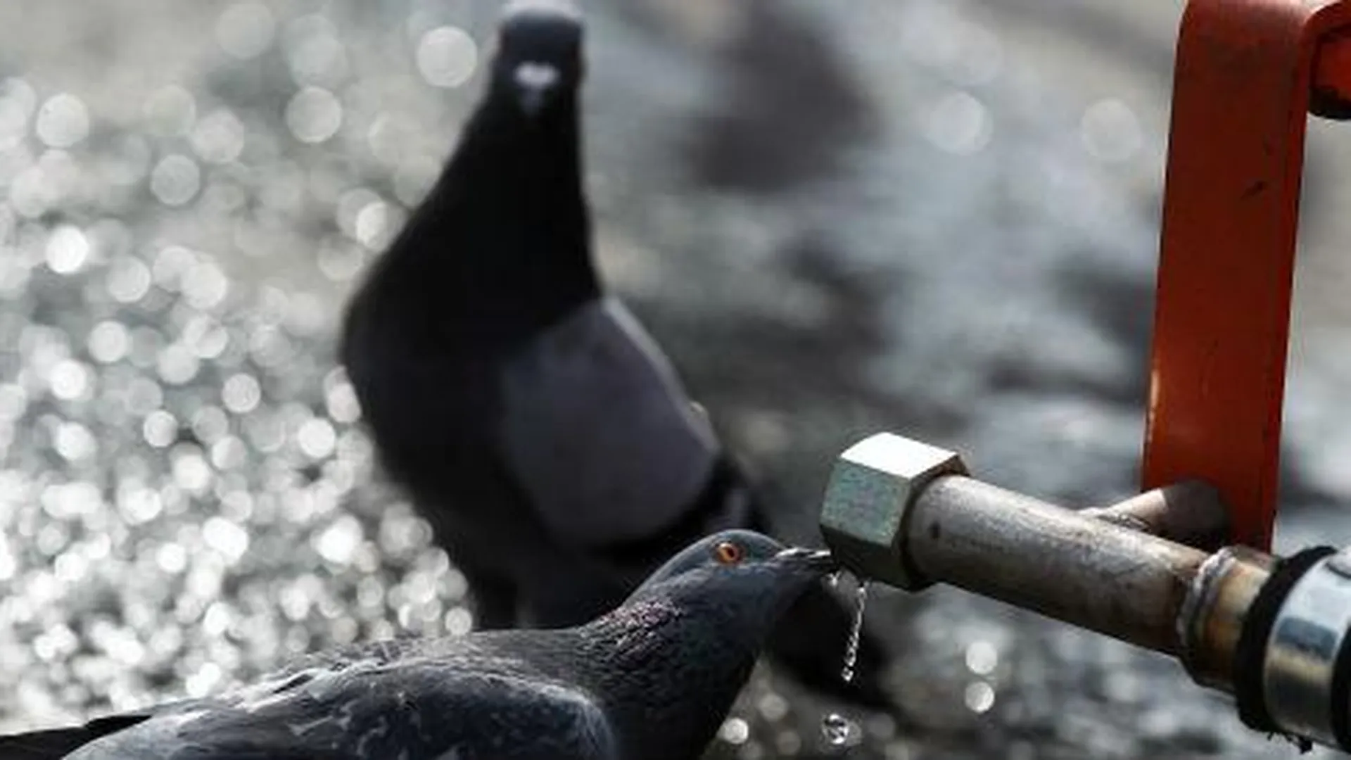 Незаконную добычу подземных вод выявили в Солнечногорском районе