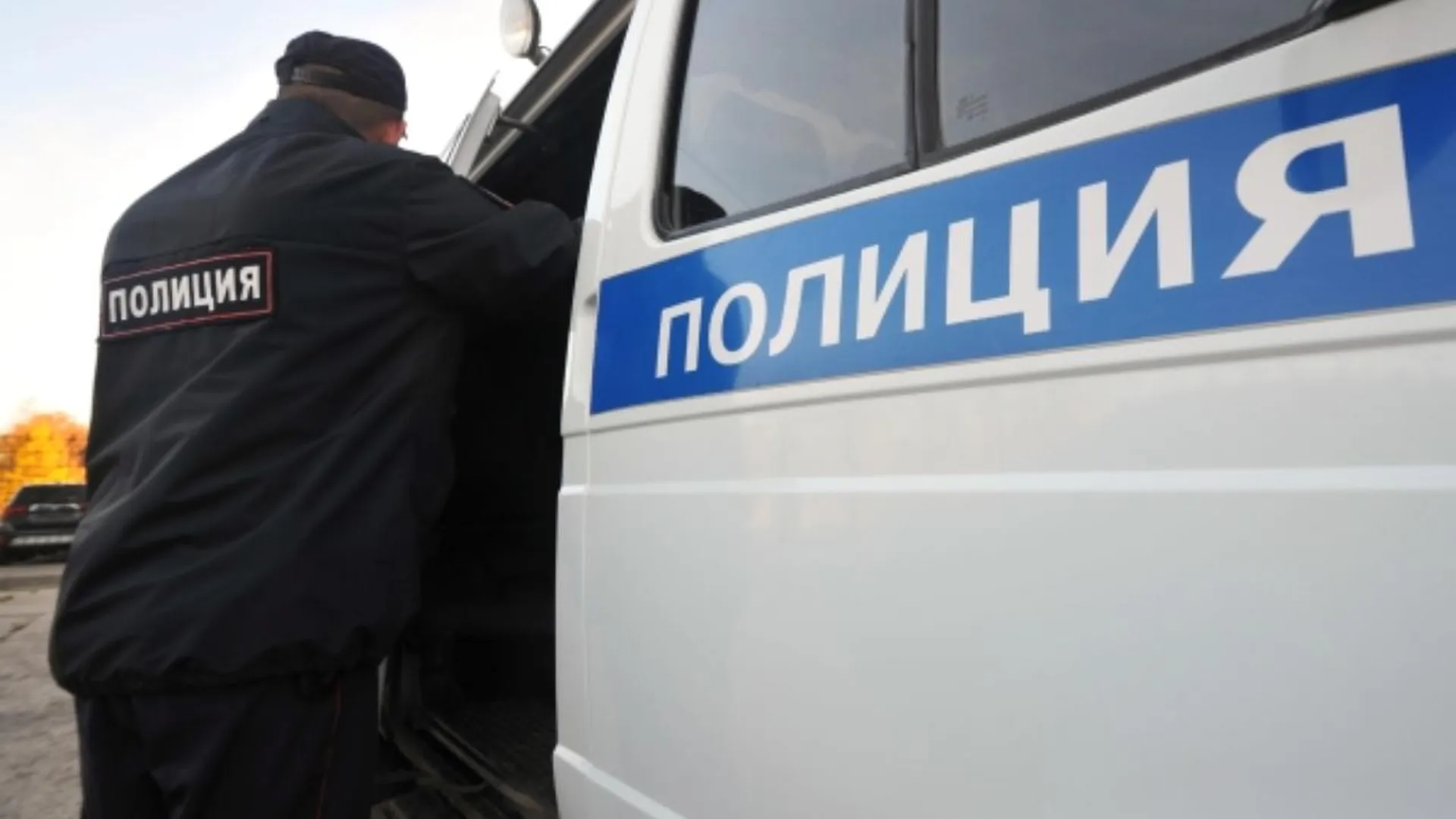 В Одинцово рабочий похитил с авторынка запчасти на треть миллиона рублей