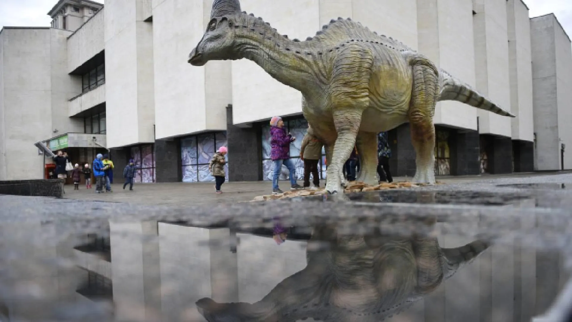 В Кузбассе обнаружили новый вид динозавров лонгипес или кийский длинноногий бегун
