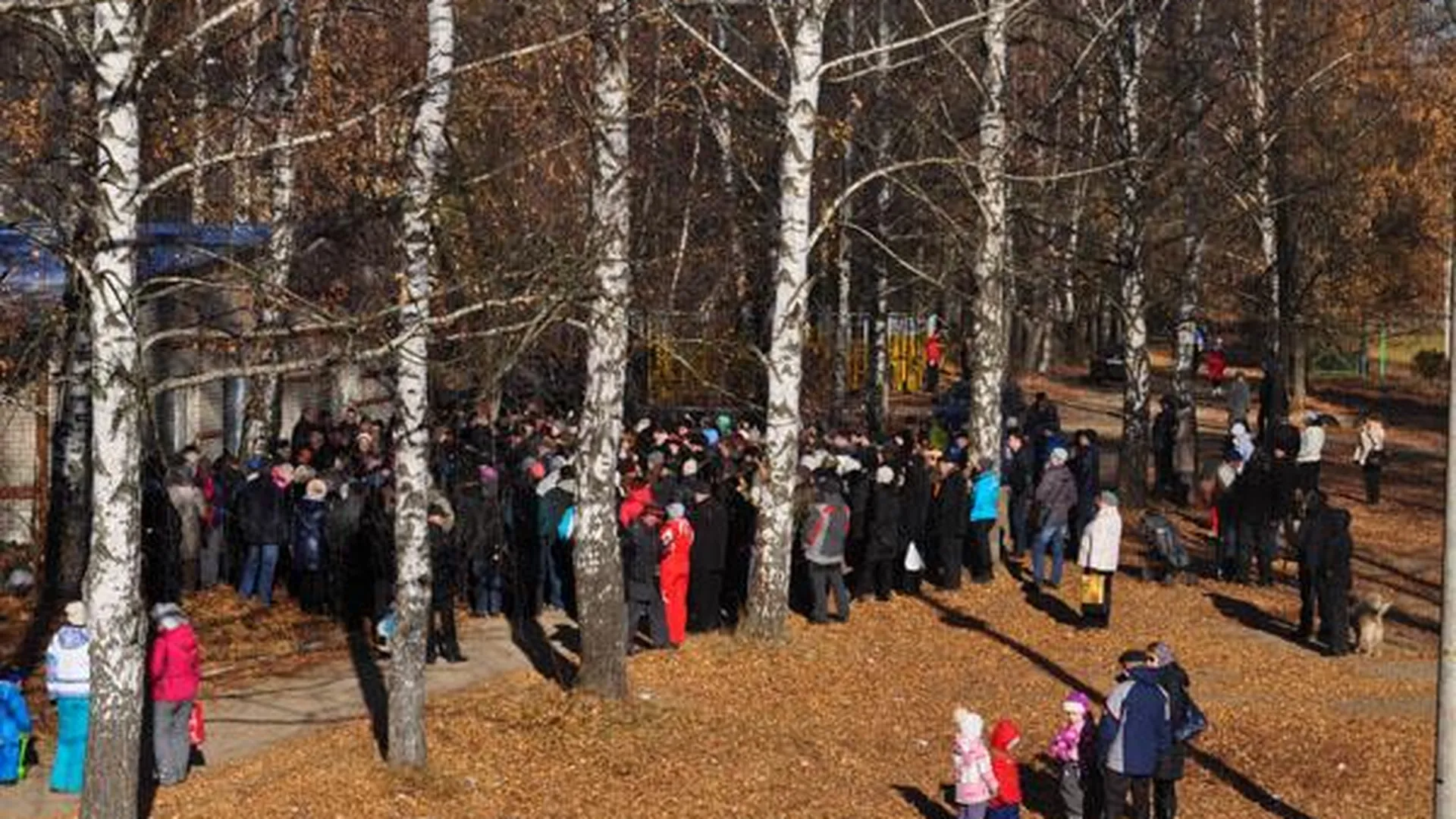 В Щелковском районе жители протестуют против вырубки леса