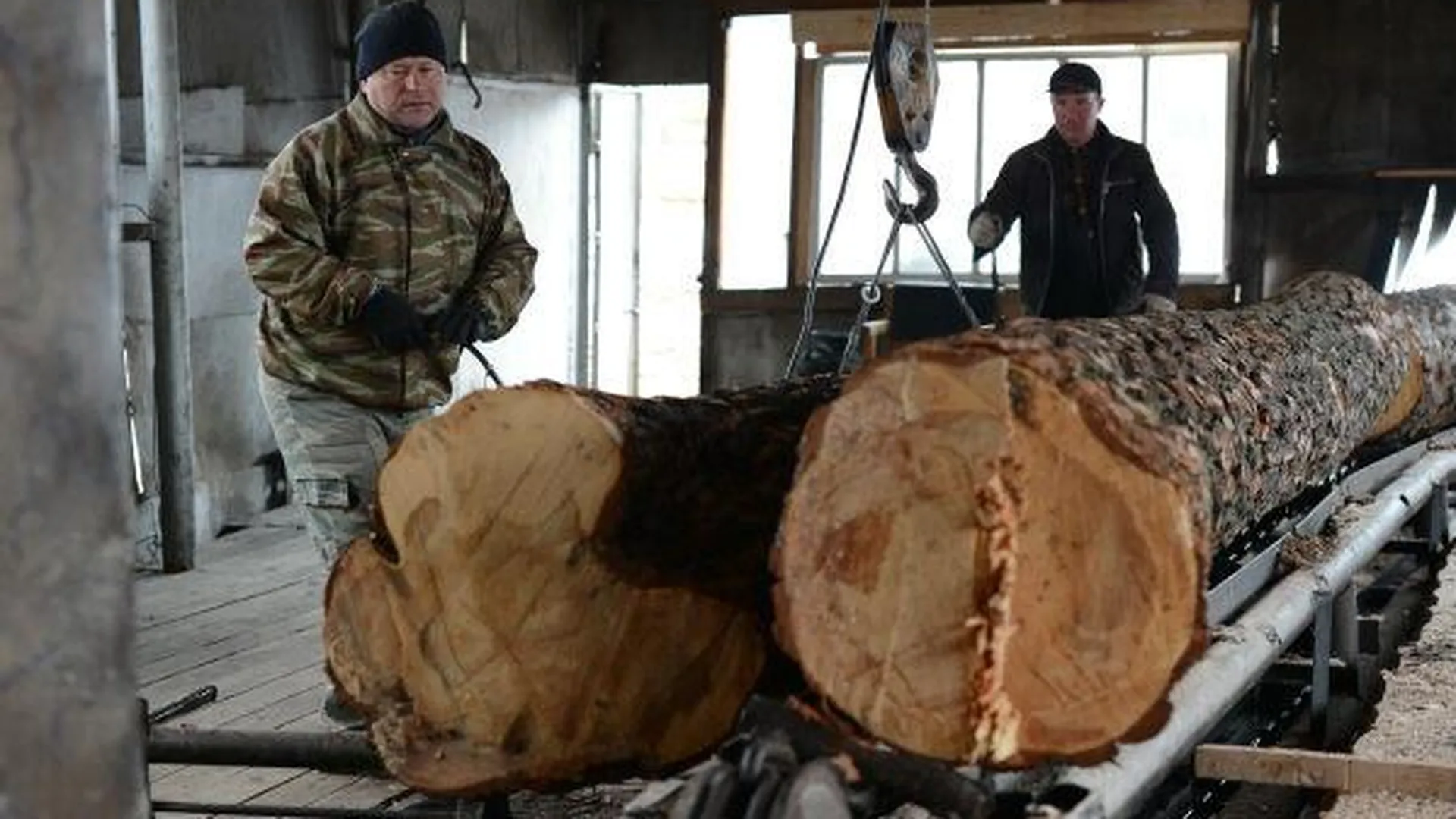 Из низкосортной древесины в области получат биотопливо