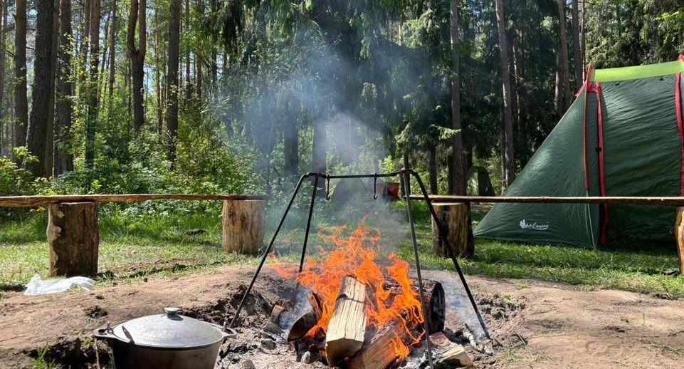Подмосковный Комлесхоз напомнил жителям о запрете на разведение огня в лесу
