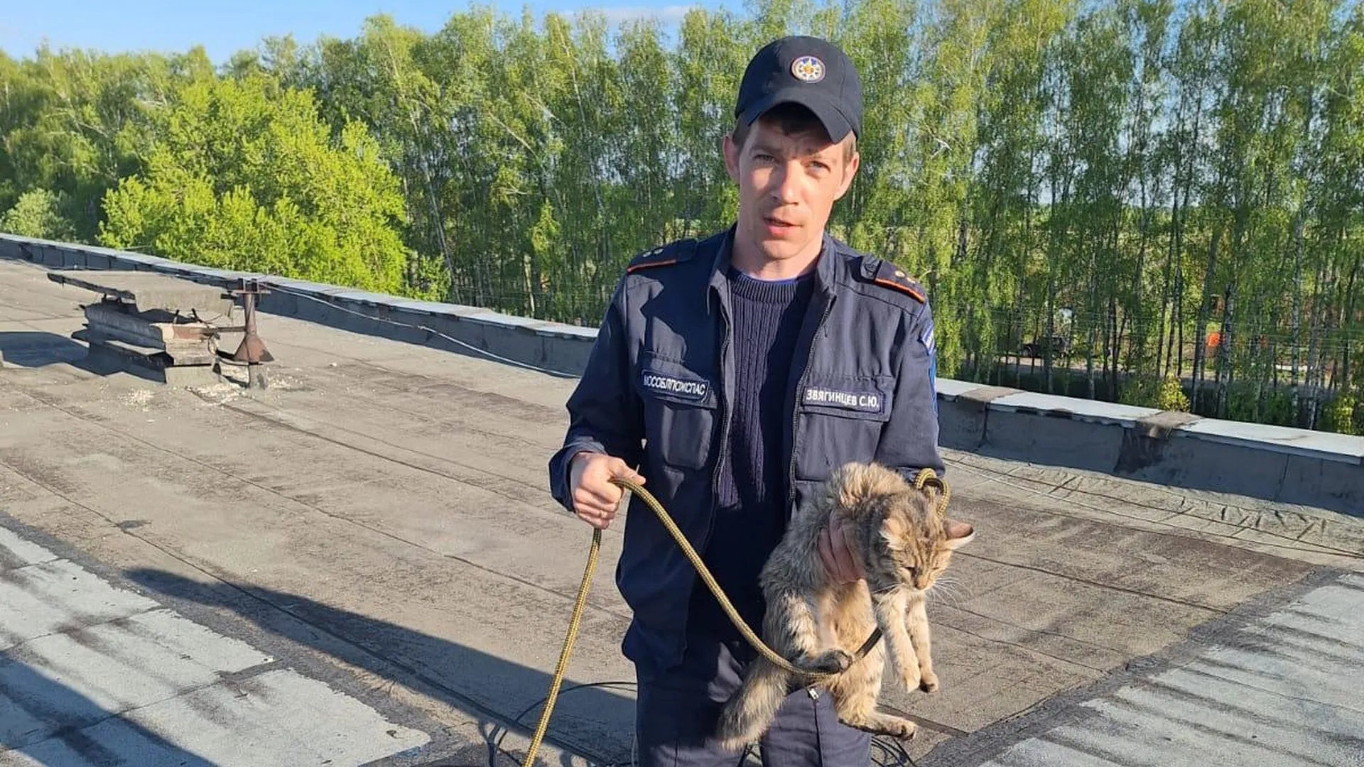 Застрявшую в вентиляции дома кошку спасли в Подмосковье