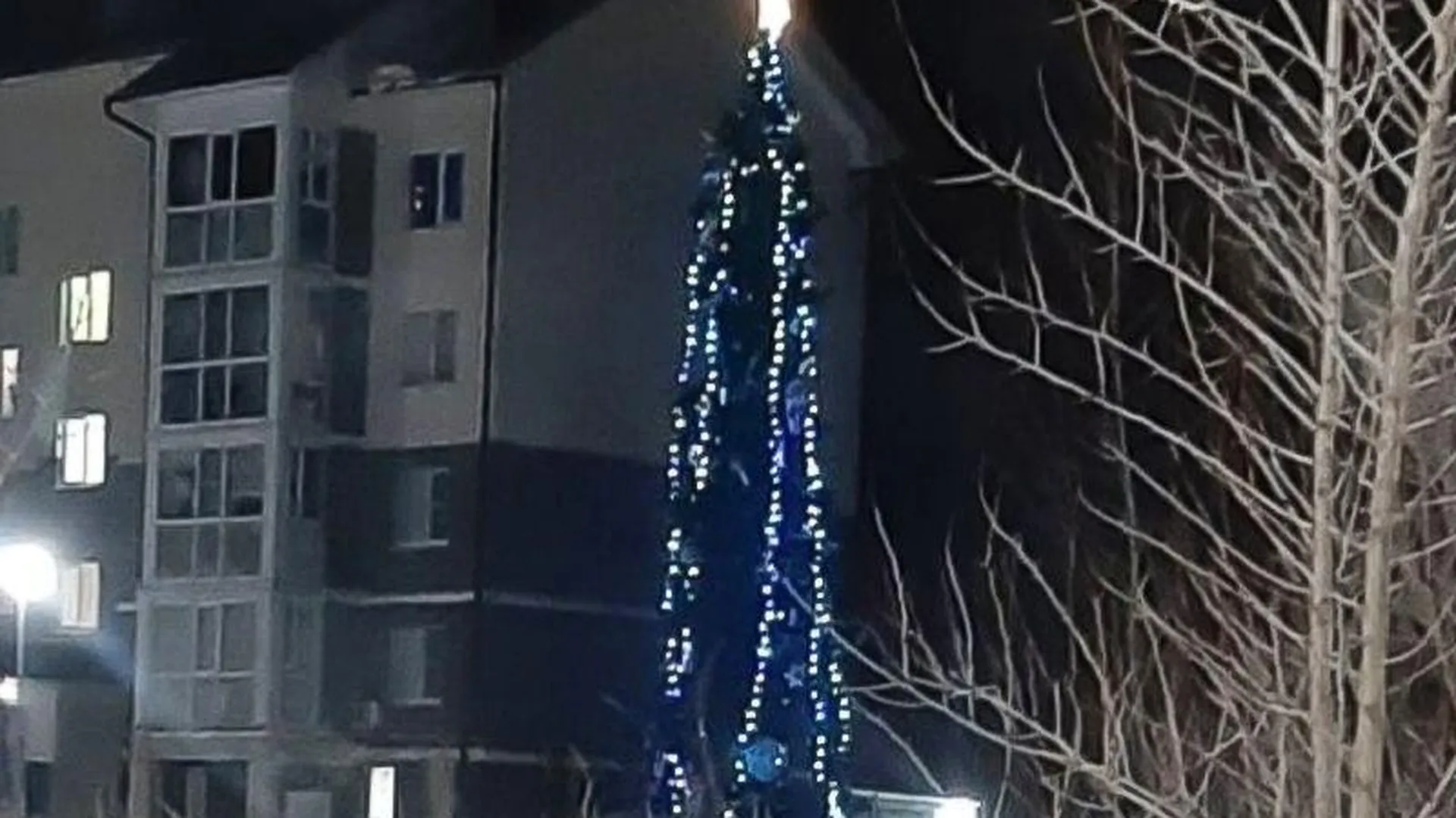Жители российских городов пожаловались на кривые и плохо наряженные новогодние елки