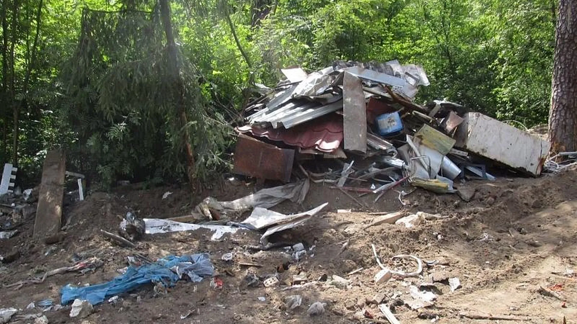 Жители Дзержинского устроили мусорный флешмоб