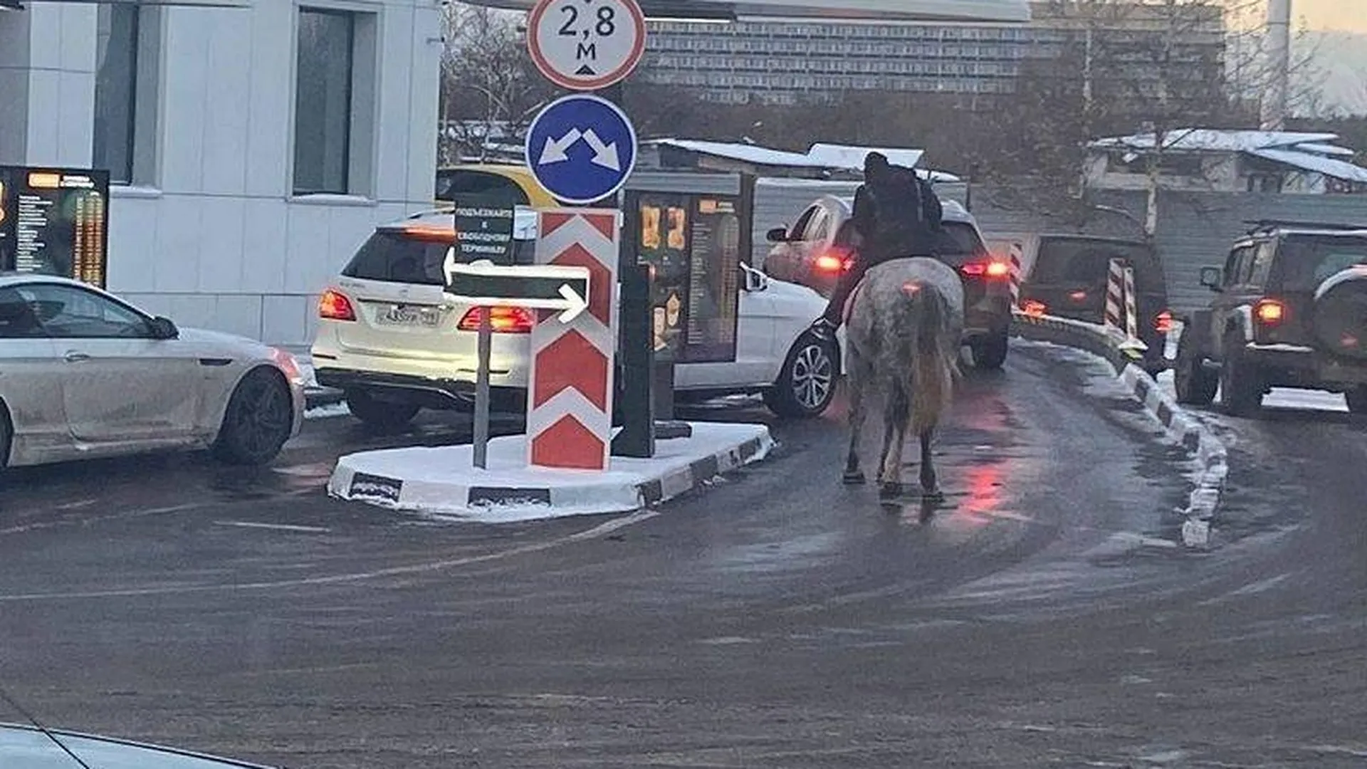 Мужчина на коне в очереди ресторана быстрого питания удивил жителей Жуковского