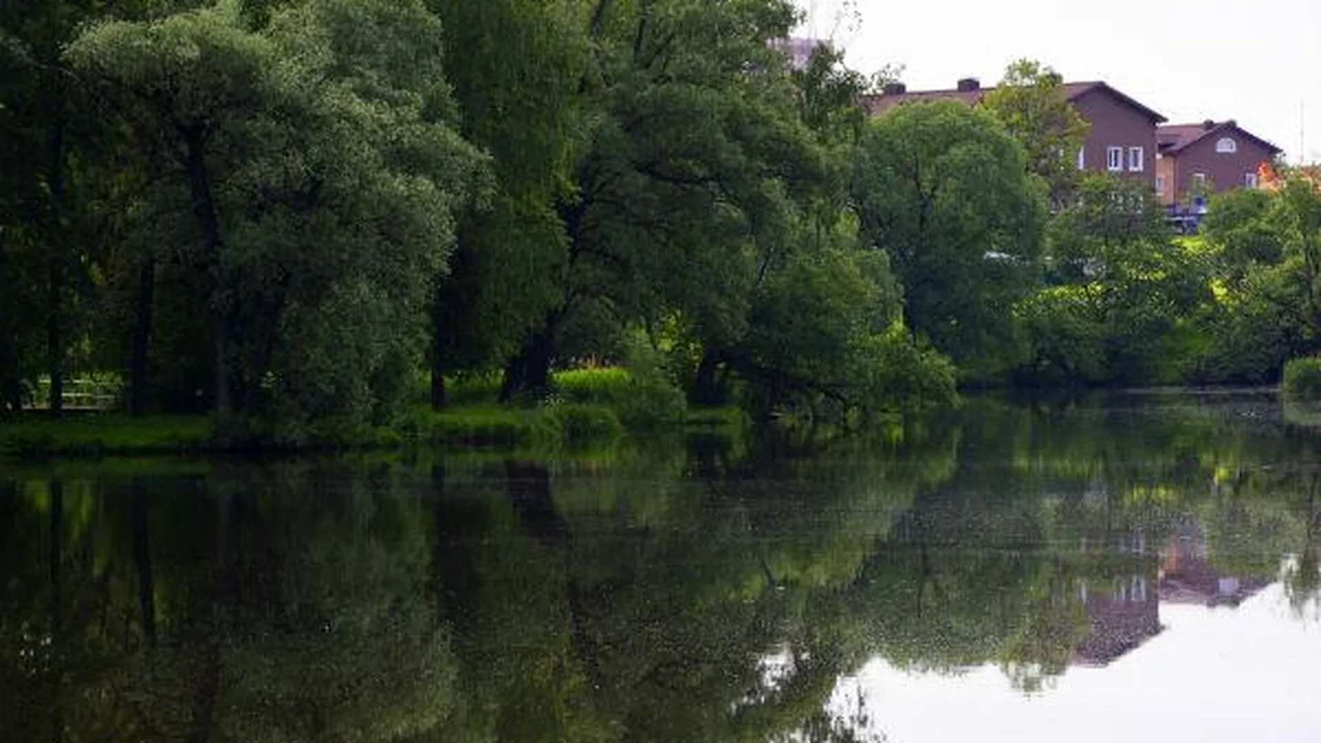 Расчистка русла реки Вобли начинается в Луховицком районе
