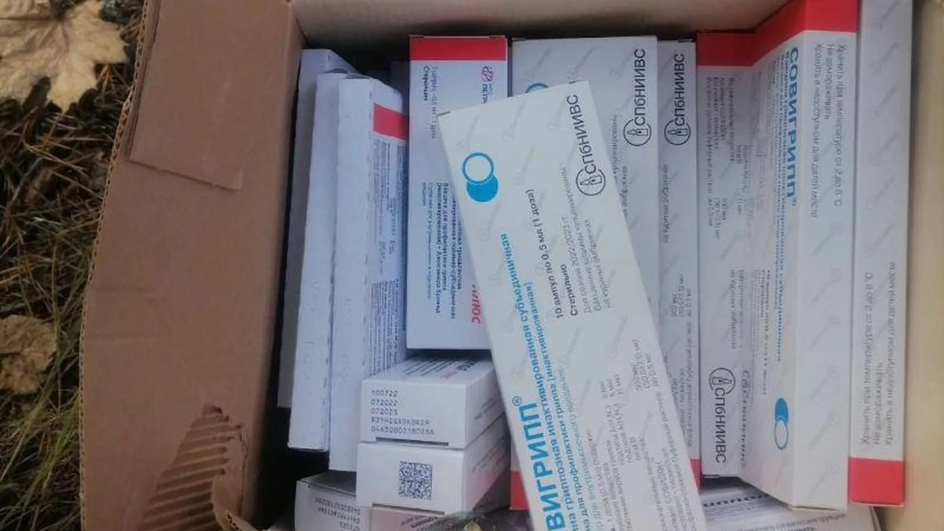 Брошенные препараты для вакцинации нашли в лесу Звенигорода