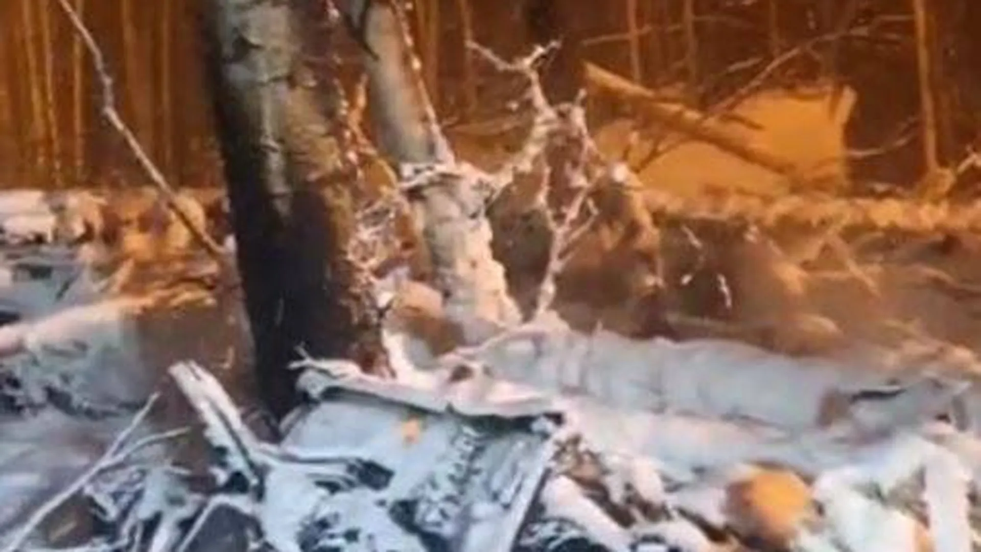 Работу спасателей на месте крушения самолета Ан-12 сняли на видео