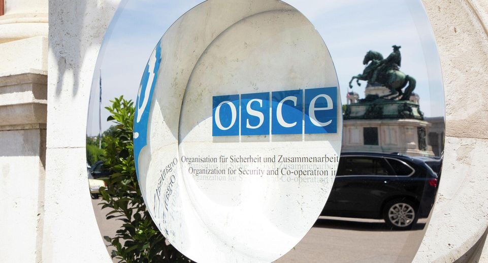 Слуцкий: Россия будет выходить из ПА ОБСЕ, условий для работы там нет