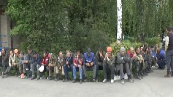Мигранты-овощеводы и нелегалы-строители задержаны в ходе рейда в Подольске 