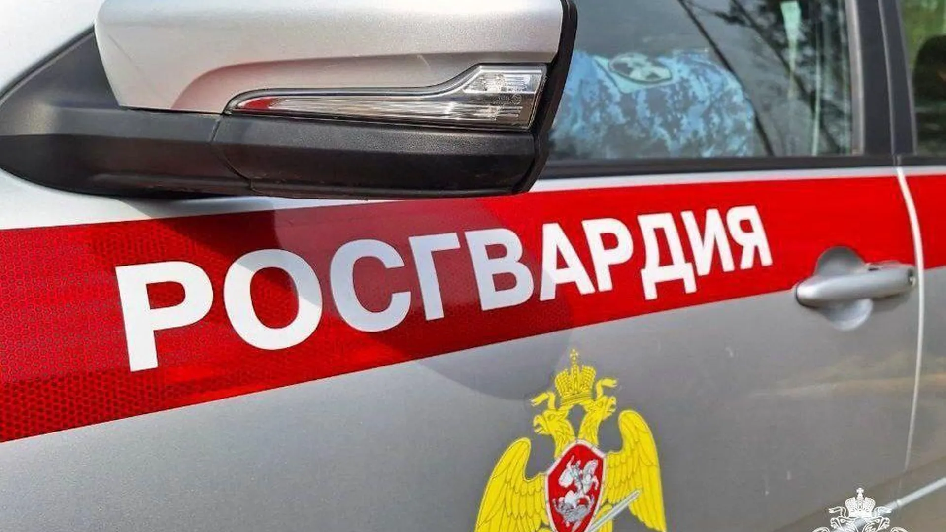 Ранее судимую жительницу Подмосковья задержали за кражу мобильного телефона у знакомой