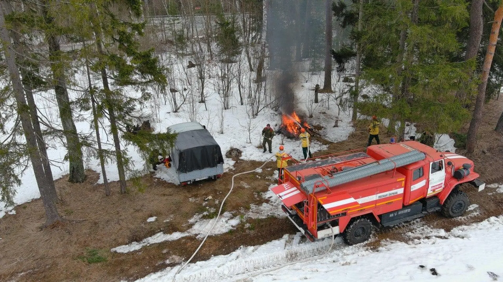 Сотрудники Егорьевского лесничества потушили условный пожар во время учений