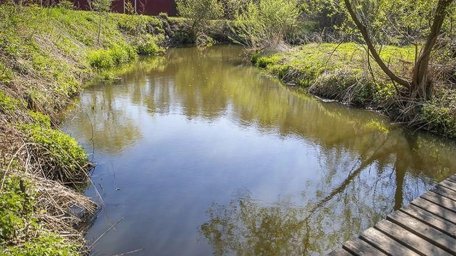 В Рузе по требованию Минэкологии прекратилось загрязнение реки