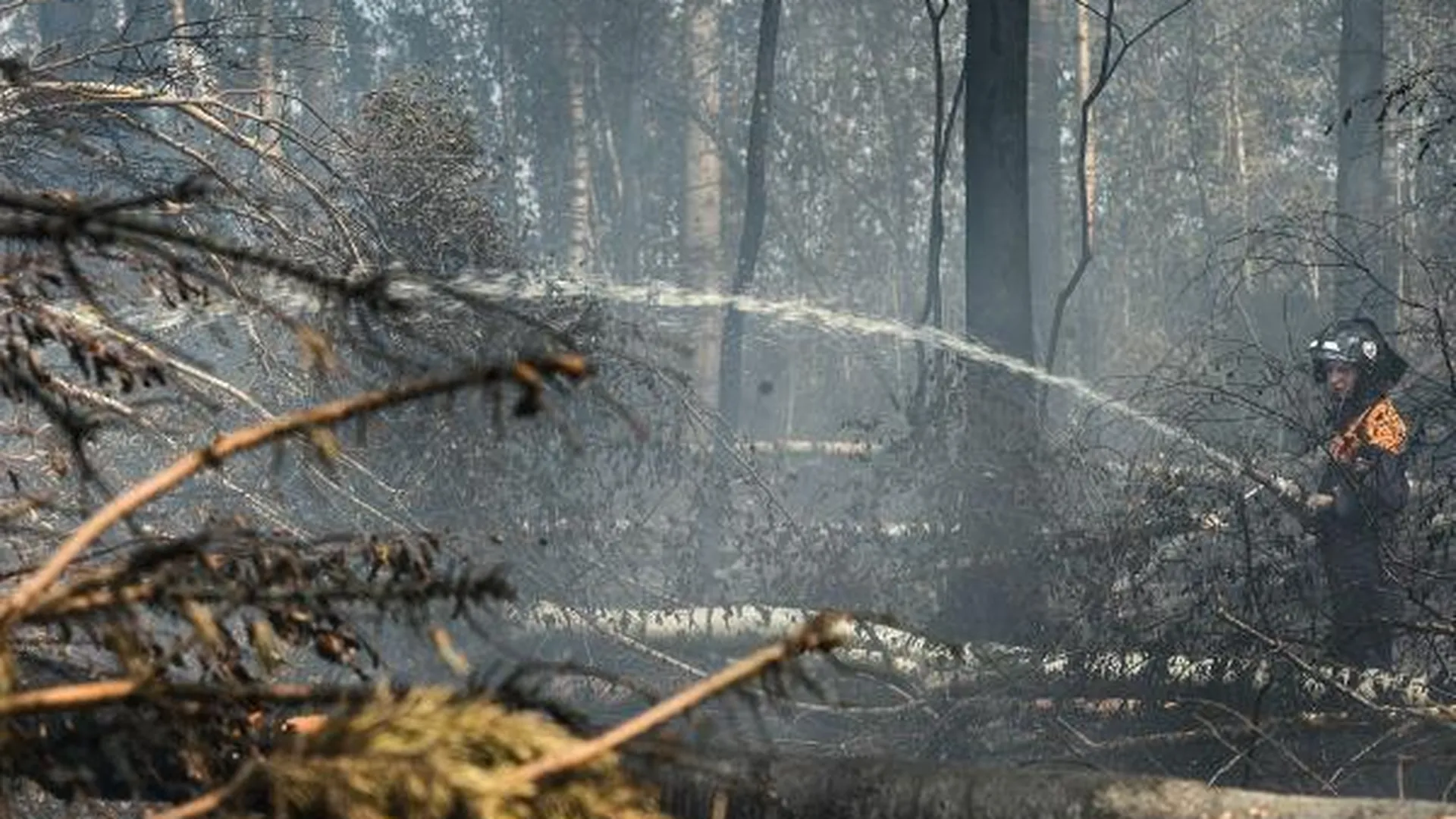  Около 2,5 тыс добровольцев готовы бороться с лесными пожарами
