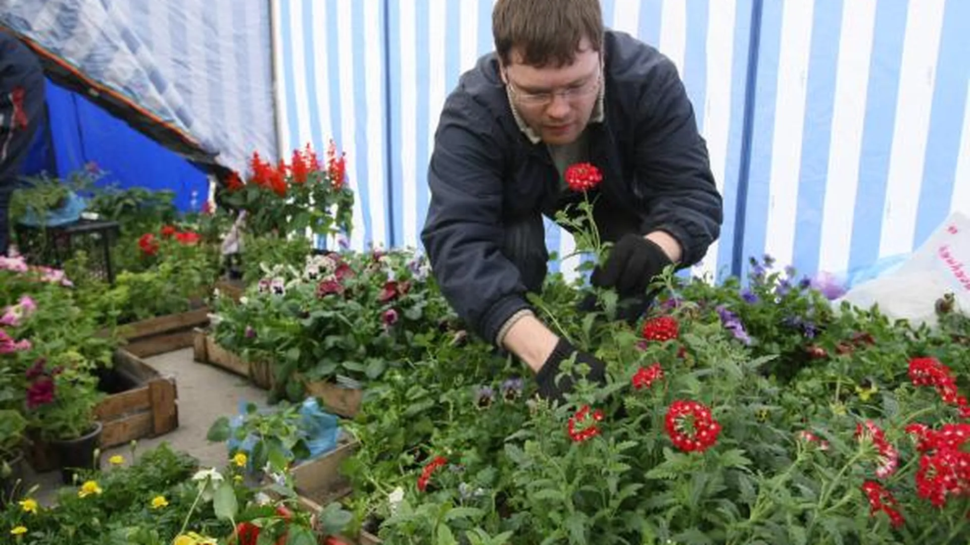 «Весенний базар» для садоводов стартовал в Одинцово